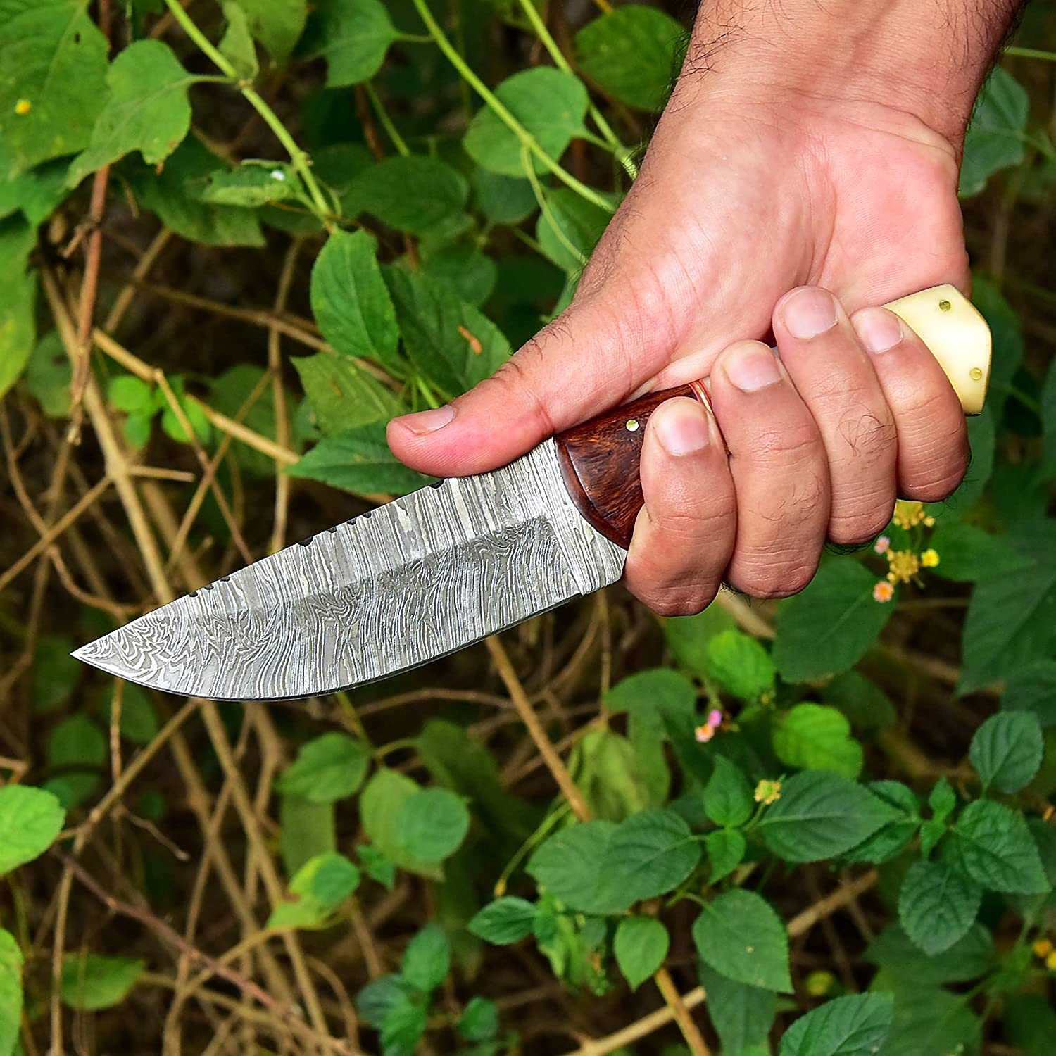 Damascus Skinning Knife With Bone-Rose Wood Handle - Image 2