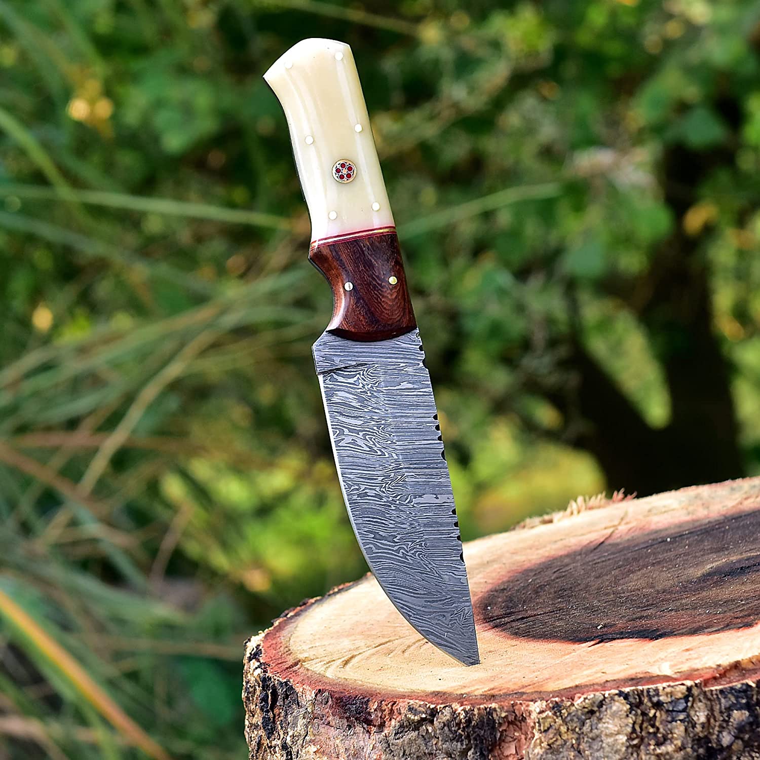 Damascus Skinning Knife With Bone-Rose Wood Handle - Image 3