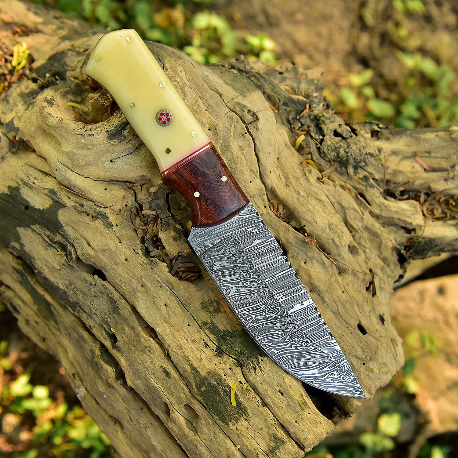 Damascus Skinning Knife With Bone-Rose Wood Handle - Image 5