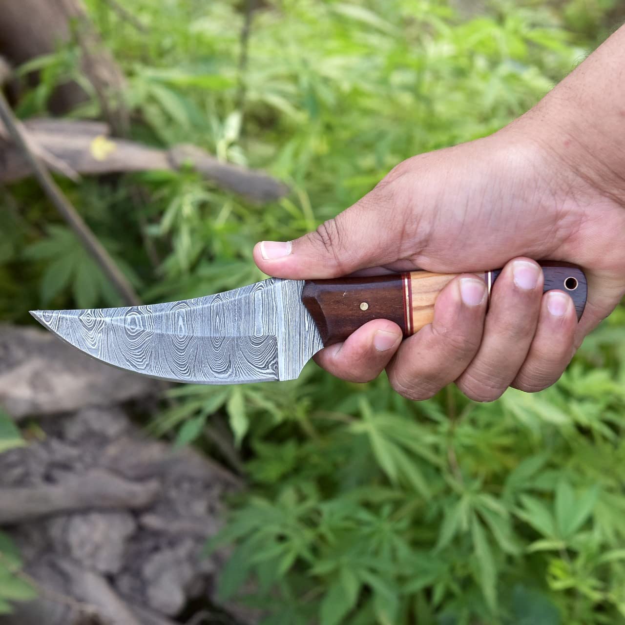Damascus Skinning Knife With Rose Wood and Olive Wood Handle - Image 2