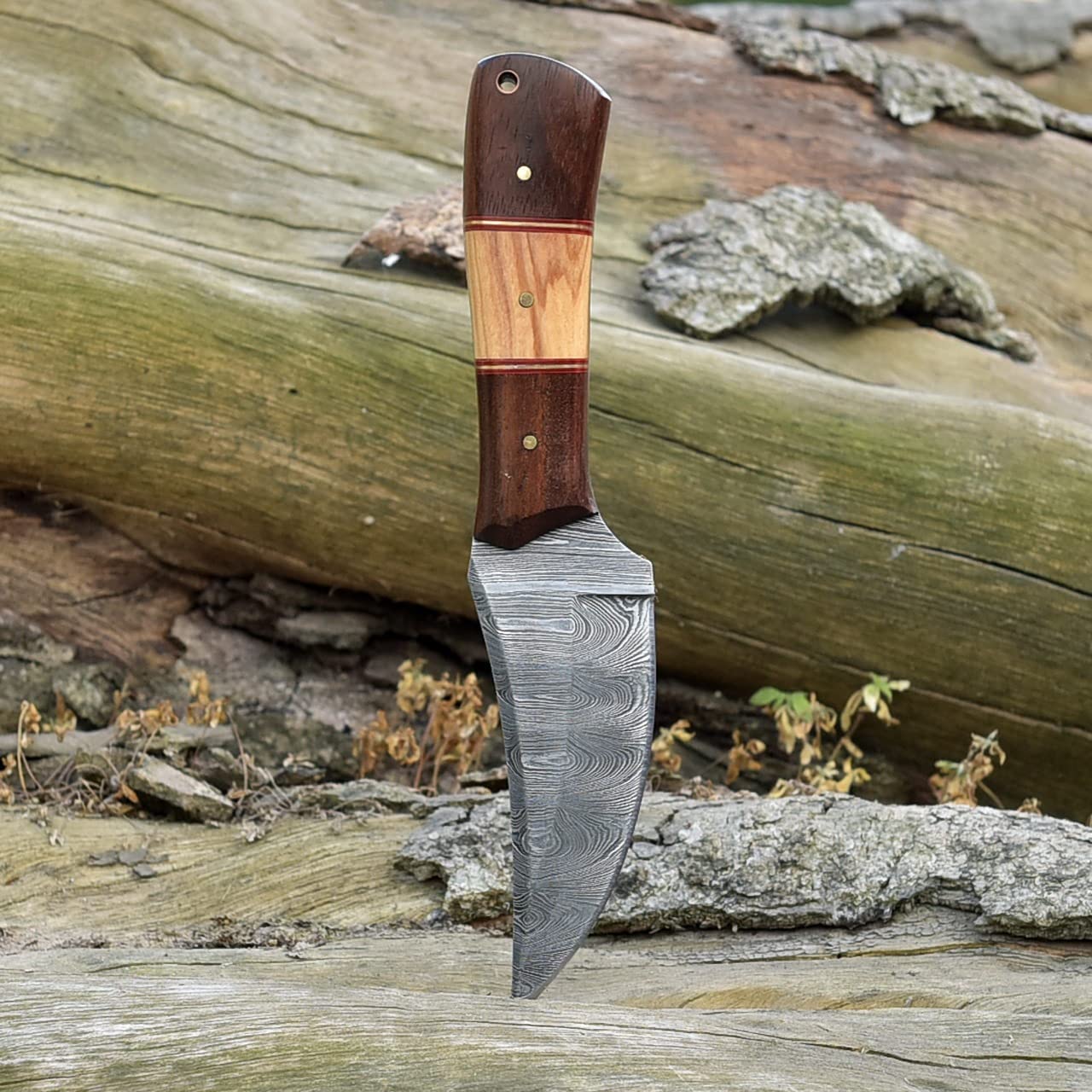 Damascus Skinning Knife With Rose Wood and Olive Wood Handle - Image 3