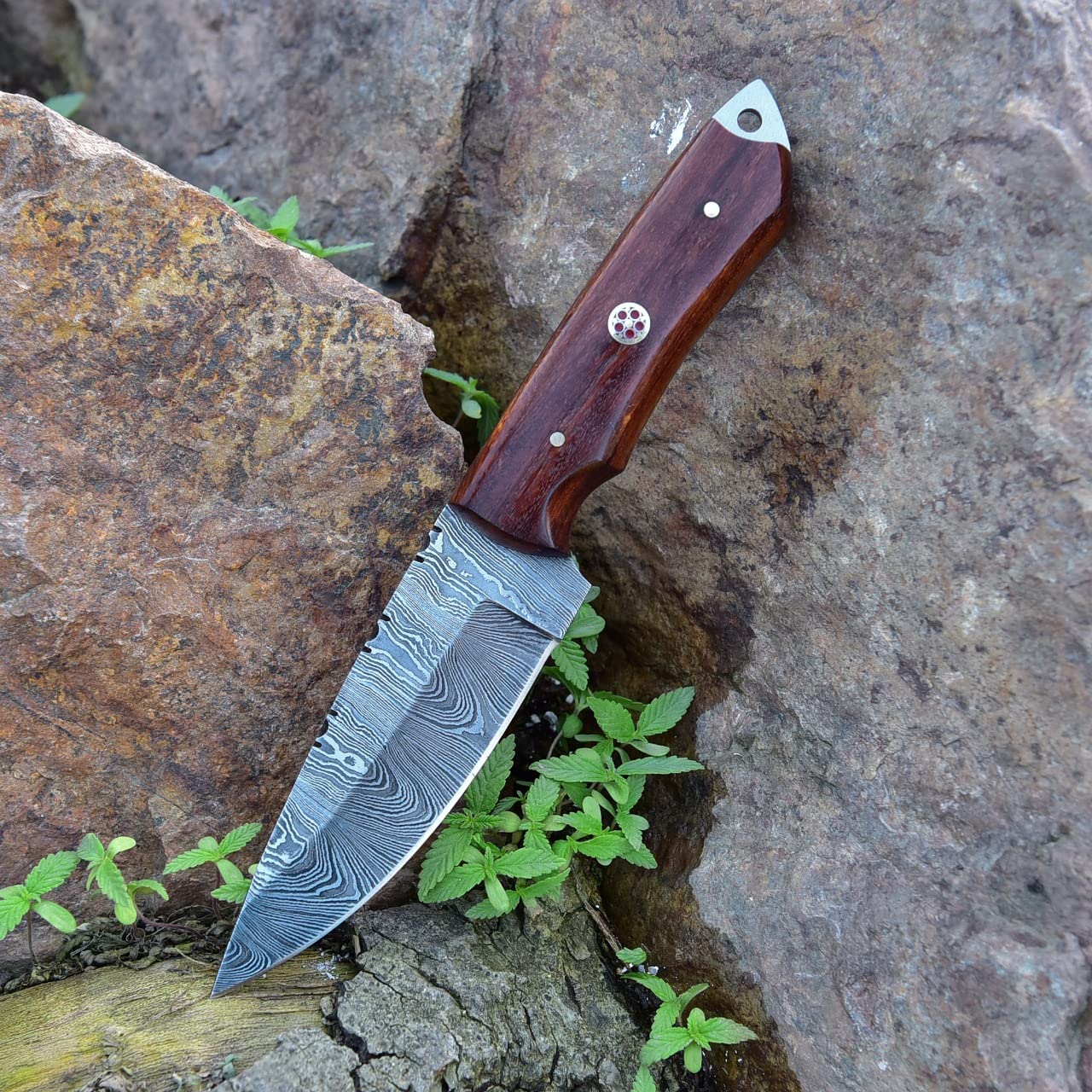 Damascus Skinning Knife With Rose Wood Handle - Image 2