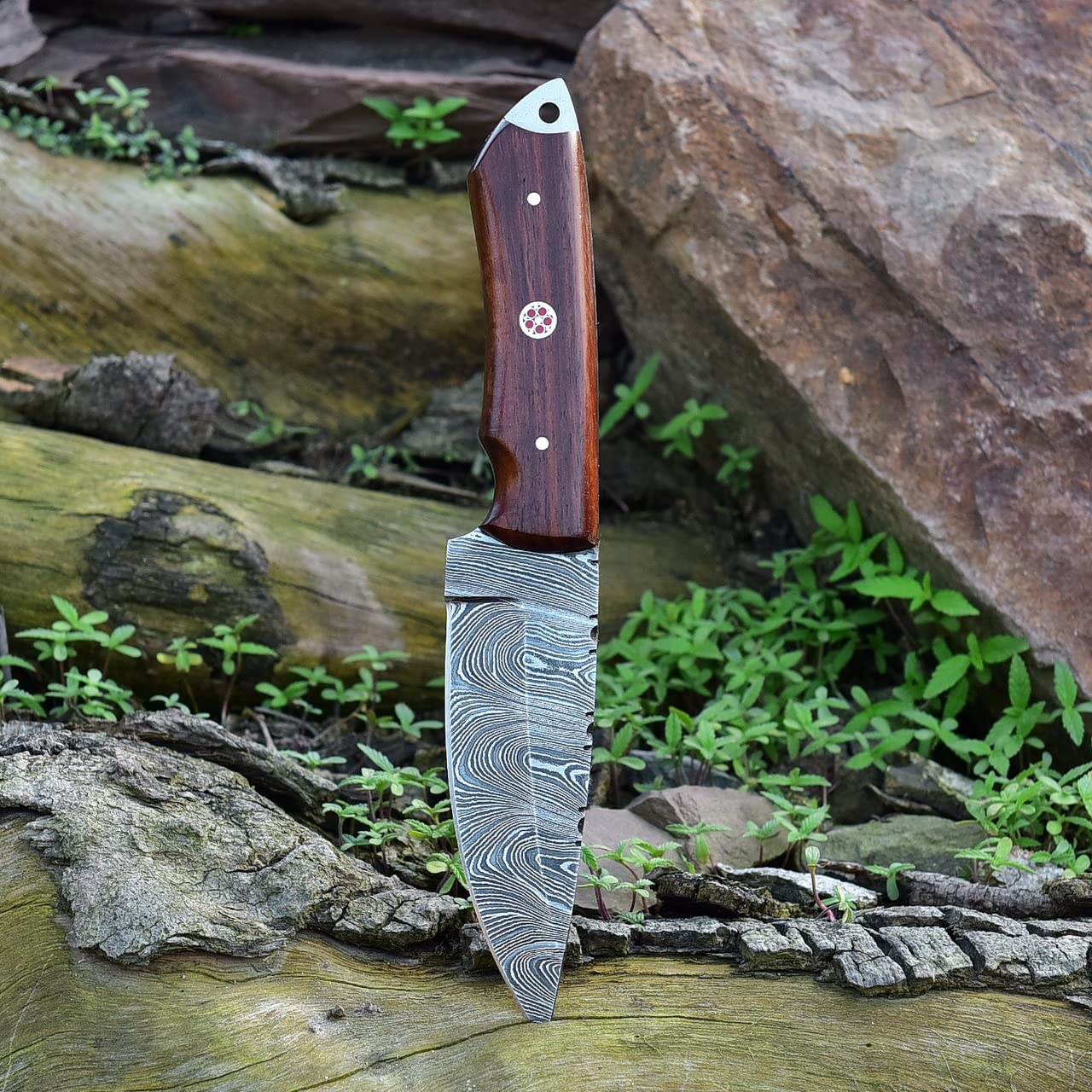 Damascus Skinning Knife With Rose Wood Handle - Image 3