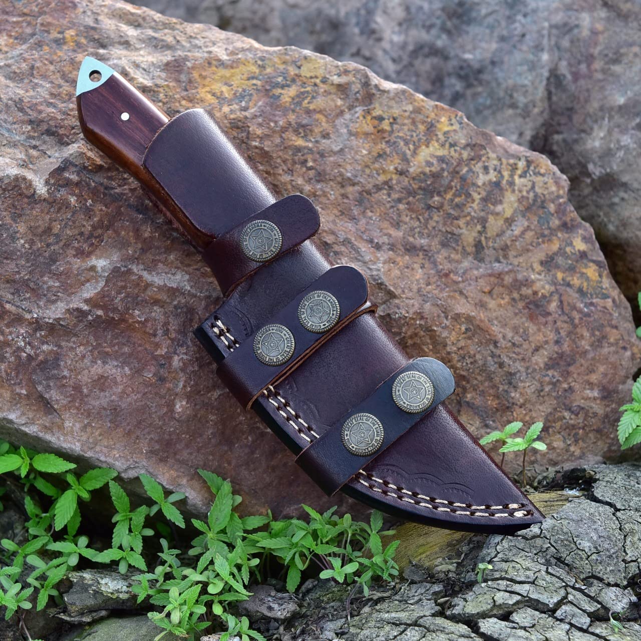 Damascus Skinning Knife With Rose Wood Handle - Image 4