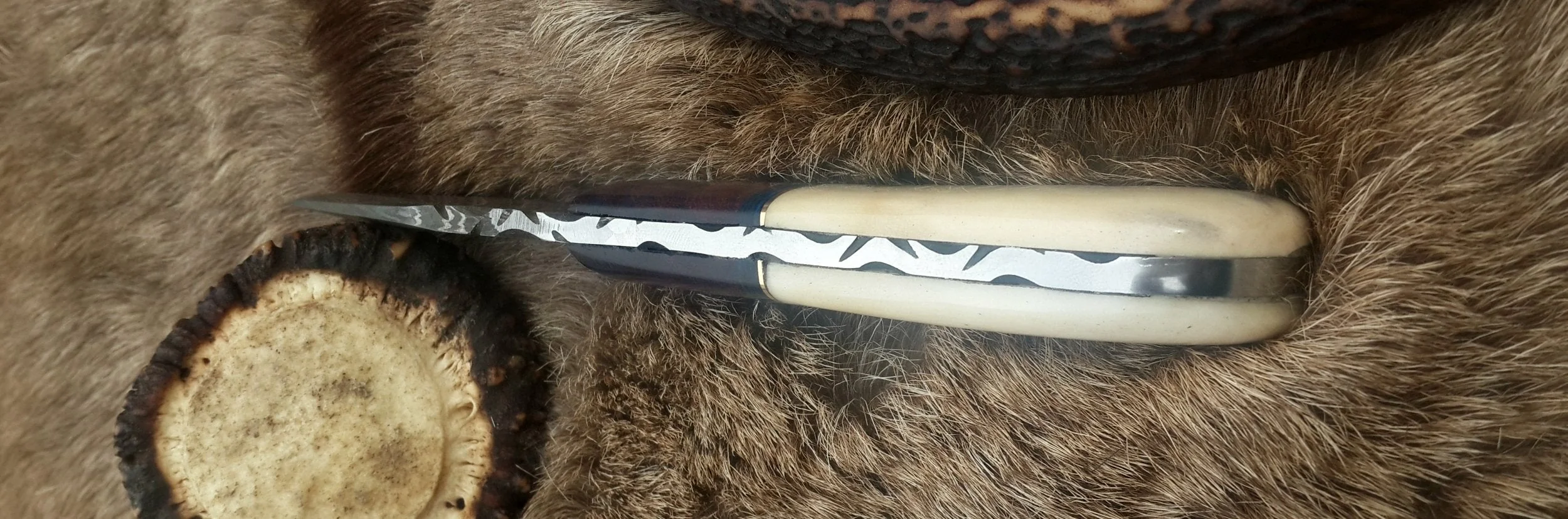 Damascus Steel Drop Point Skinning Knife with Bone and Rosewood Handle – 7 Inch Overall Length - Image 3