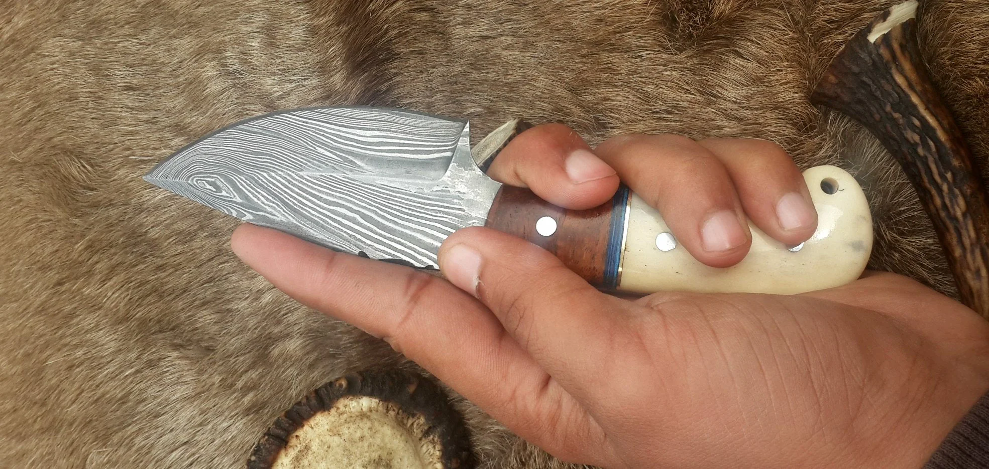 Damascus Steel Drop Point Skinning Knife with Bone and Rosewood Handle – 7 Inch Overall Length - Image 4