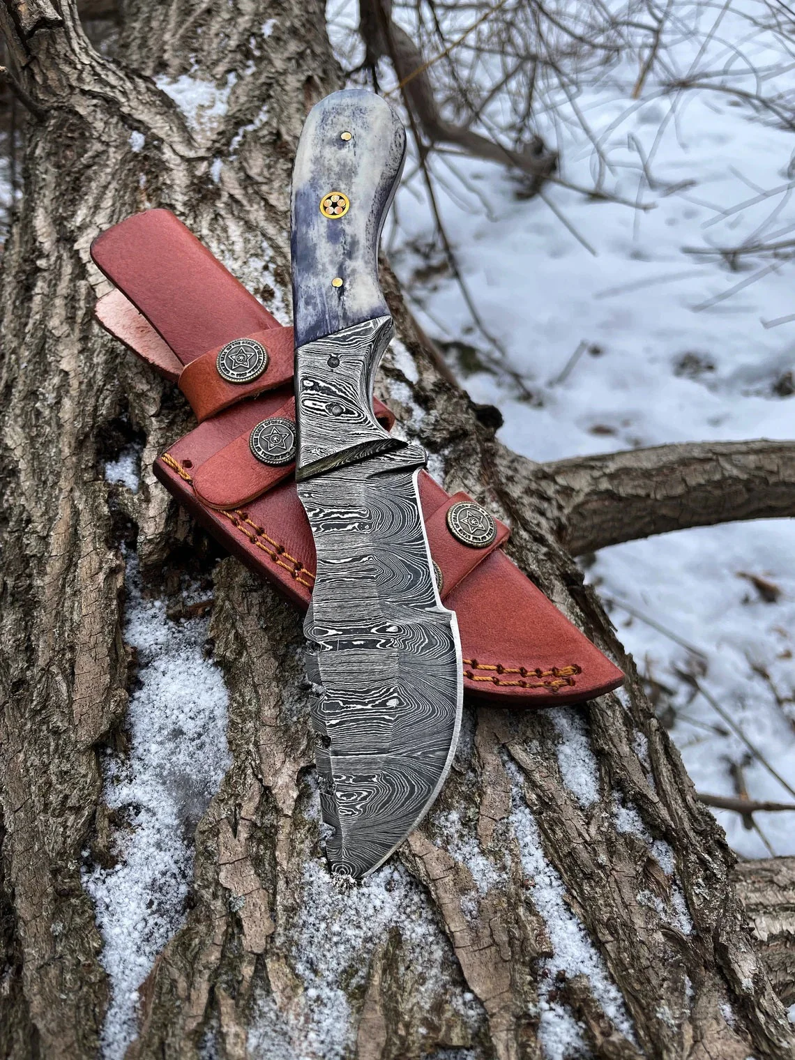 Damascus Steel Handmade Tom Brown Tracker Knife with Color Bone and Damascus Bolster Handle - 12 Inches Overall Length - Image 2