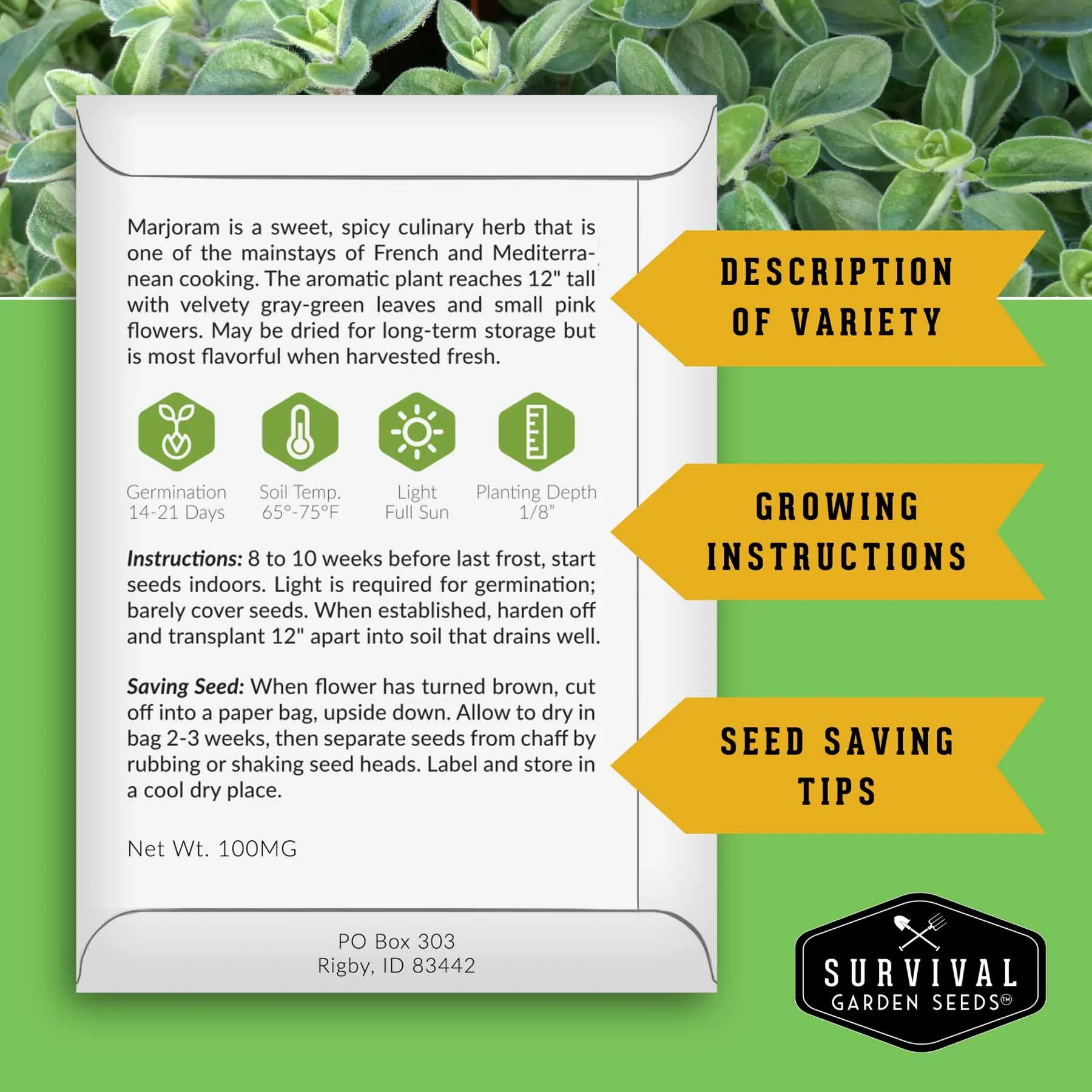 Drought-Tolerant Herb & Flower Seed Kit – 8 Full-Sun, Xeriscape-Friendly Varieties for Low-Water Gardens - Image 2