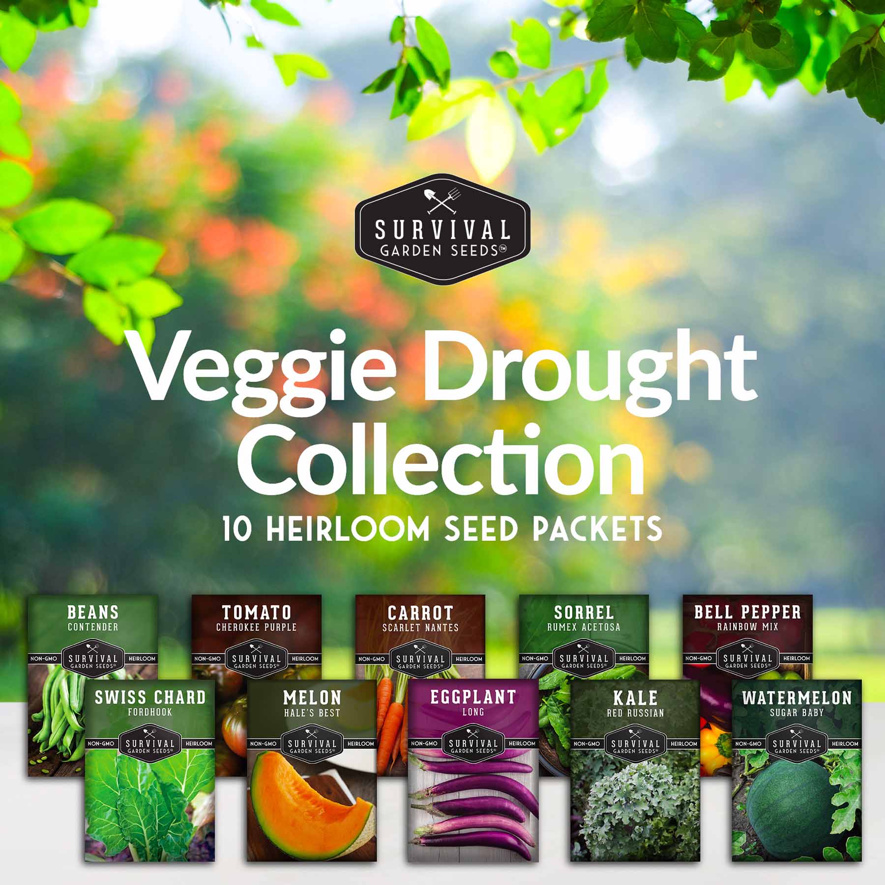 Drought-Tolerant Vegetable Seeds Variety Pack – 10 Heat-Resilient, Full-Sun Garden Favorites for Dry Climate Growing - Image 2