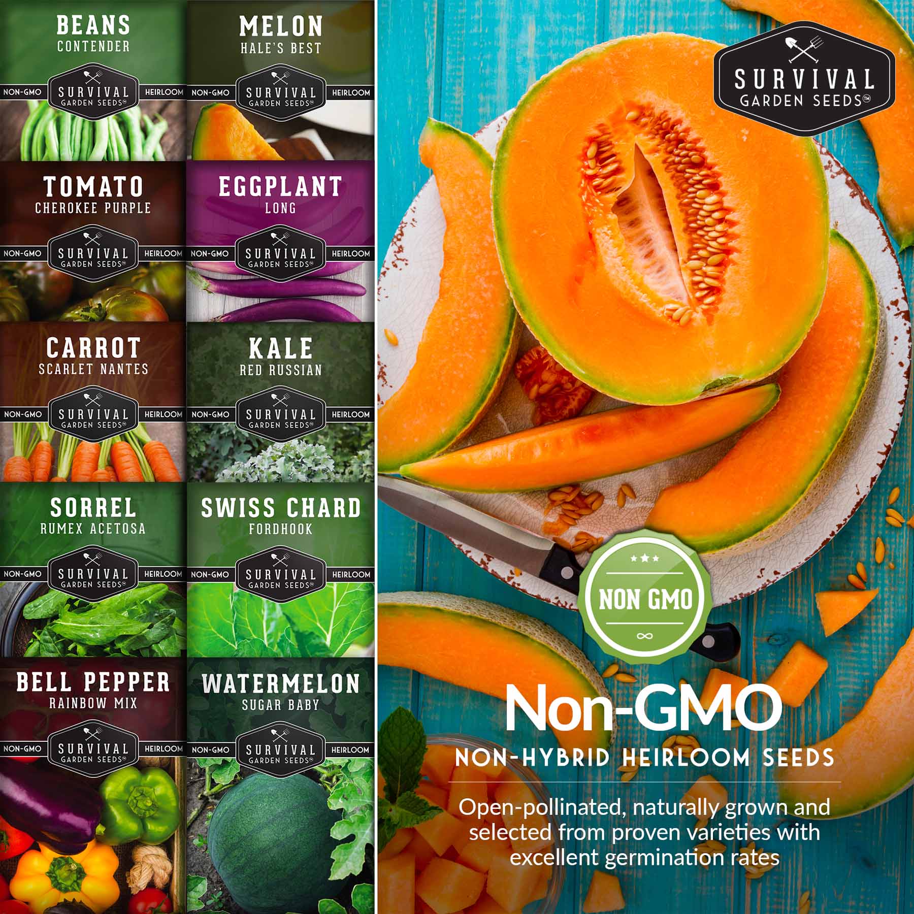 Drought-Tolerant Vegetable Seeds Variety Pack – 10 Heat-Resilient, Full-Sun Garden Favorites for Dry Climate Growing - Image 5