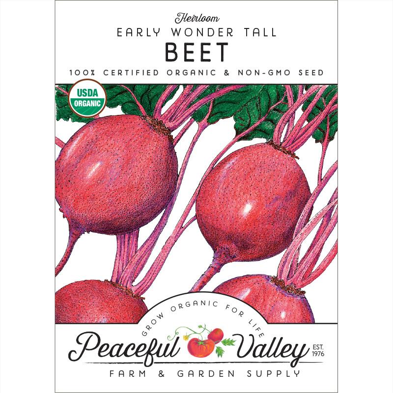 Early Wonder Tall Beet Seeds (Organic) - Image 2