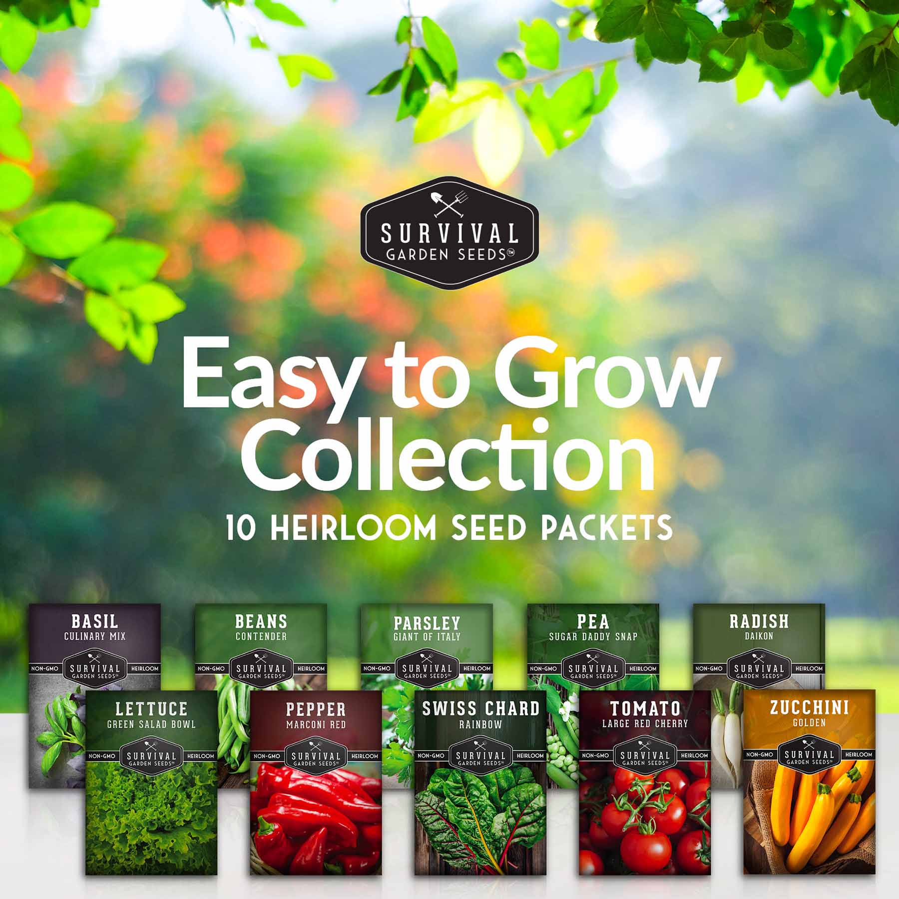 Easy-to-Grow Seed Collection – Beginner-Friendly Vegetables & Herbs for Quick, Reliable Harvests - Image 2