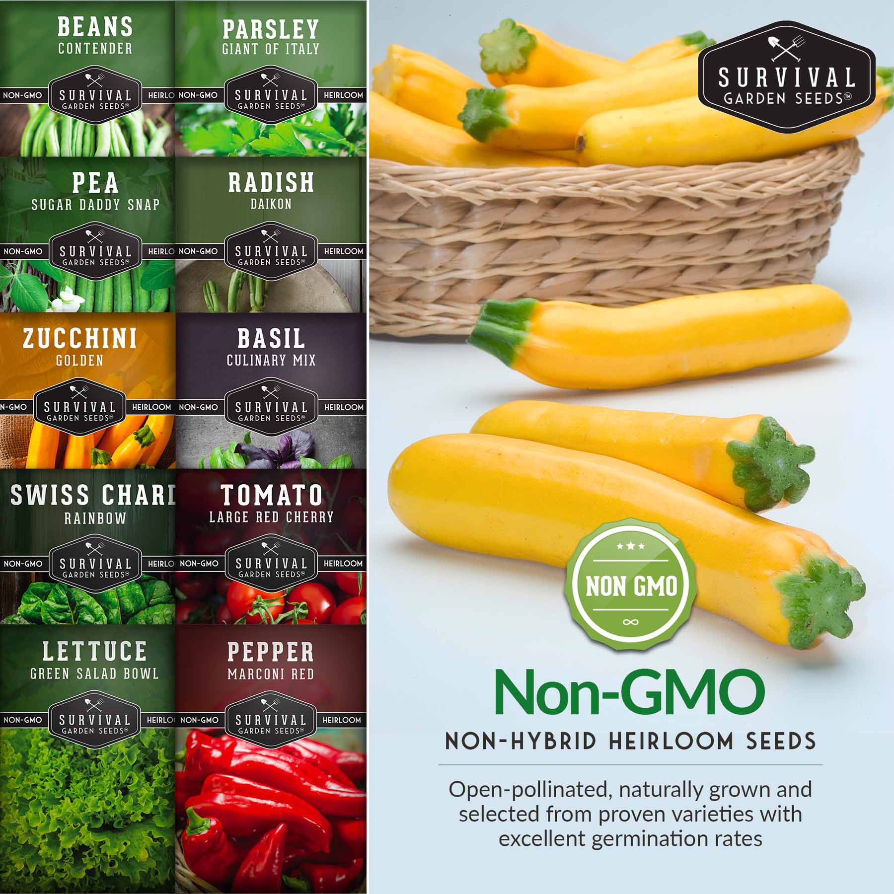 Easy-to-Grow Seed Collection – Beginner-Friendly Vegetables & Herbs for Quick, Reliable Harvests - Image 5