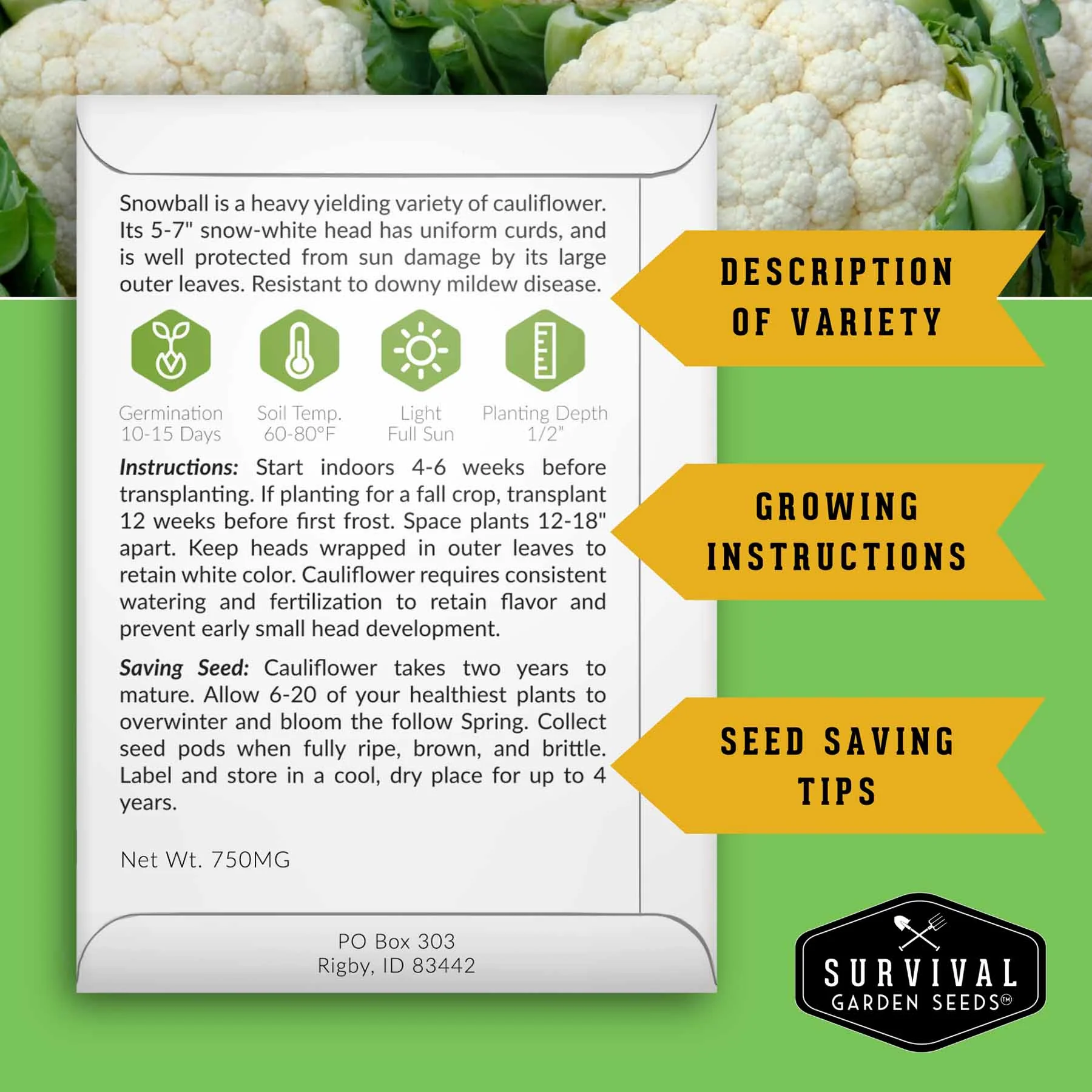Complete Survival Garden Kit – 100 Seeds to Grow Food for Your Family - Image 4