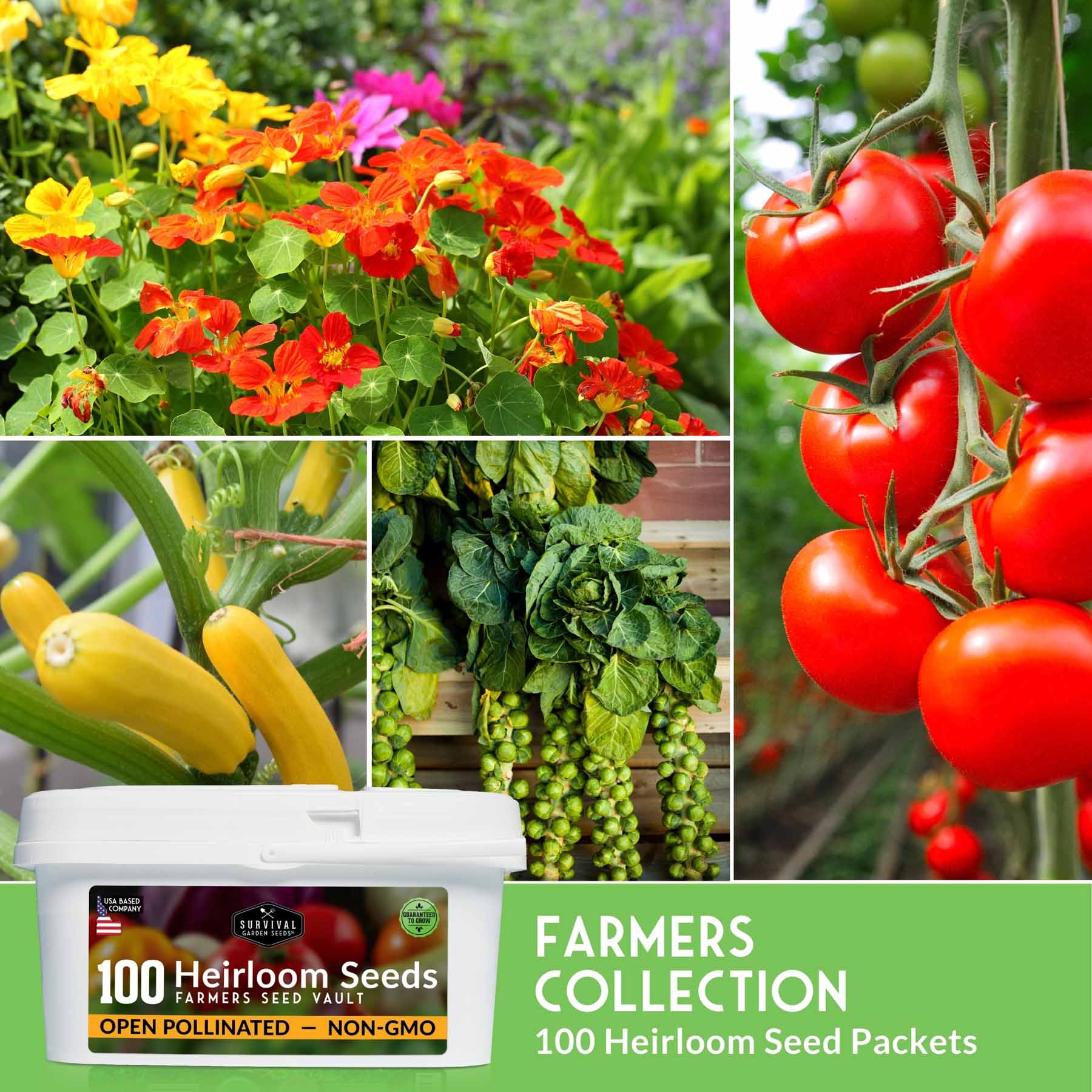 Complete Survival Garden Kit – 100 Seeds to Grow Food for Your Family - Image 6