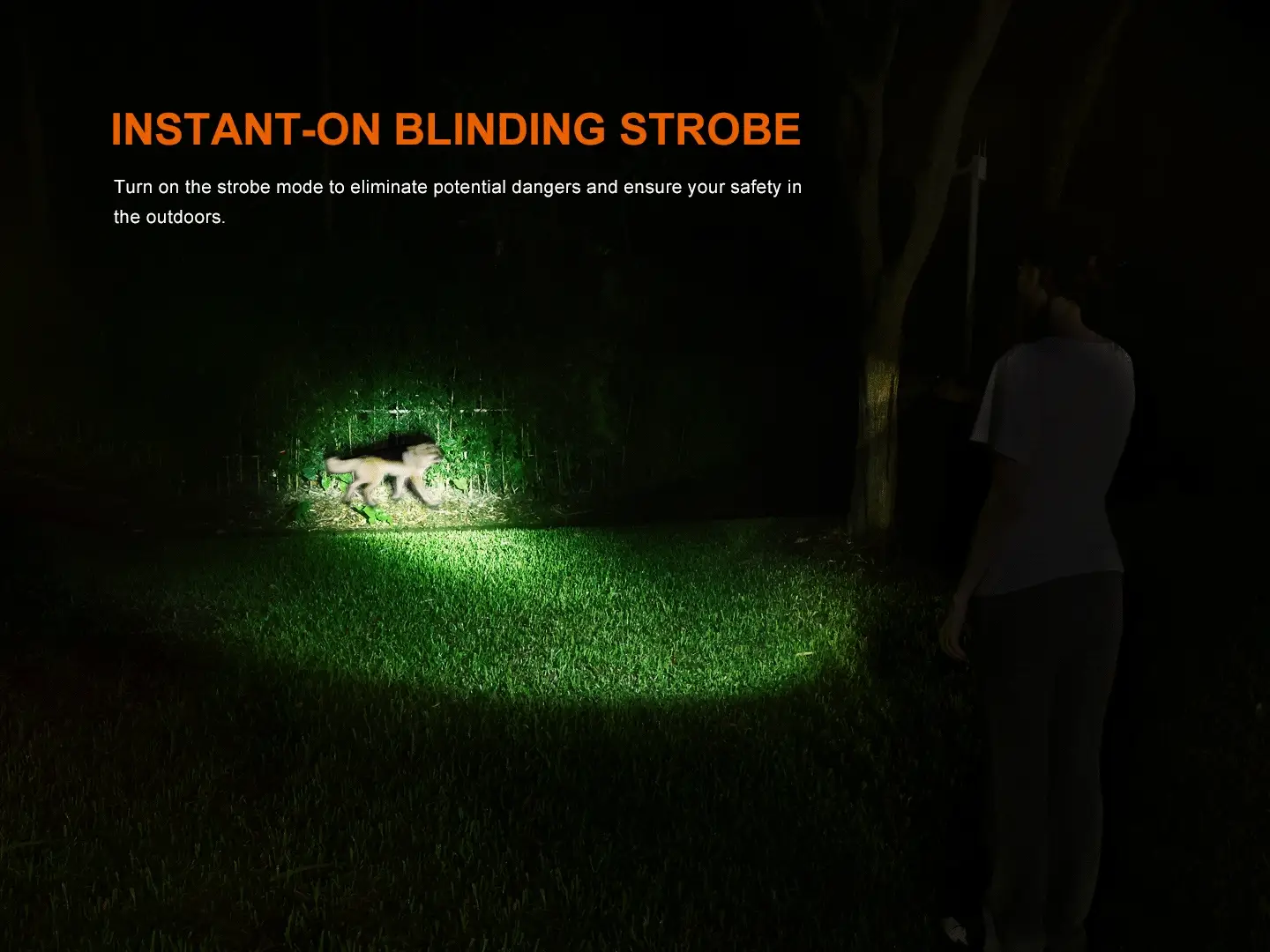 Fenix LD35R High Performance Multimode Tactical Flashlight - Image 8