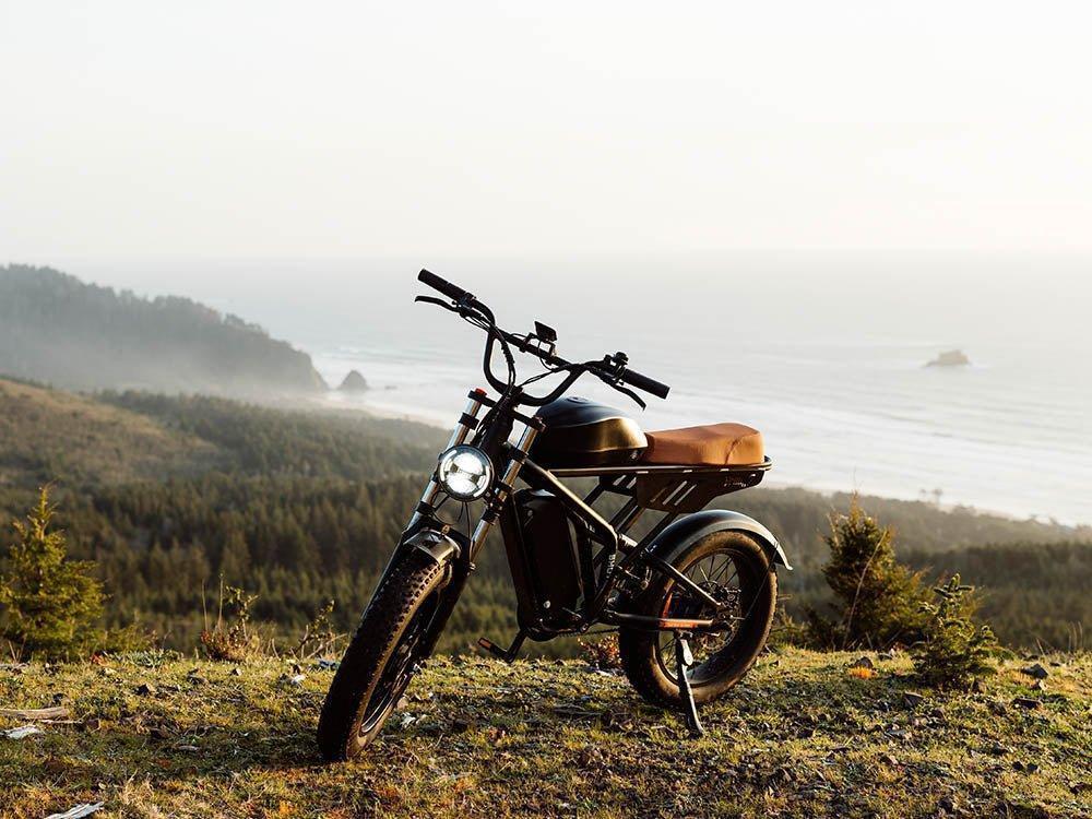 Freego Shotgun Flash F3 Pro Max Premium Electric Bike - Image 4
