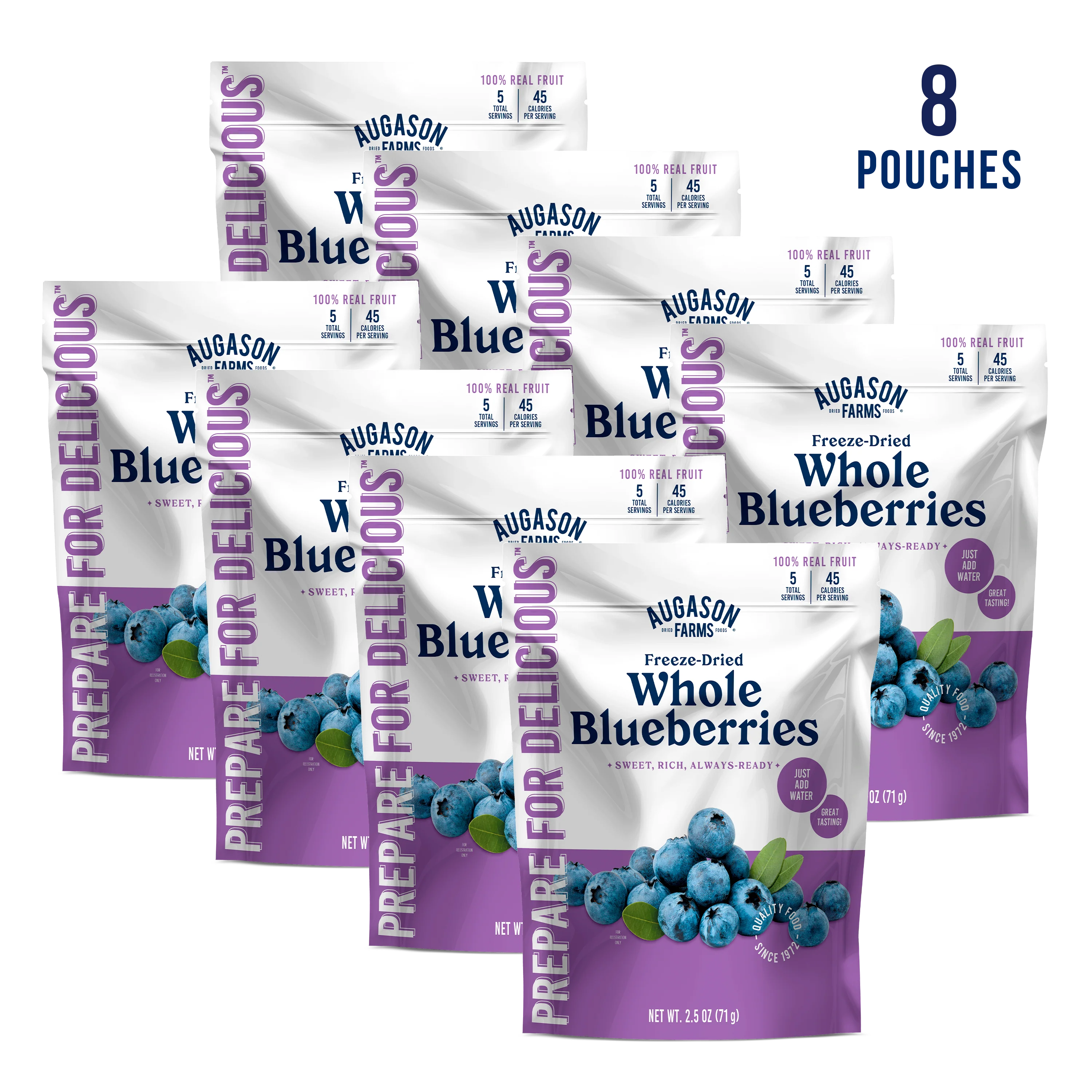 Freeze Dried Whole Blueberries Pouch, 5 Servings - Image 3