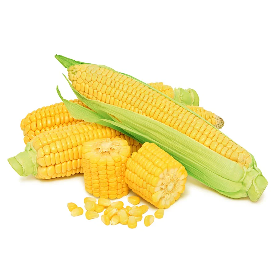 Fruit & Vegetable Bucket - 6 Pack - Emergency Survival Food Kit - Image 6