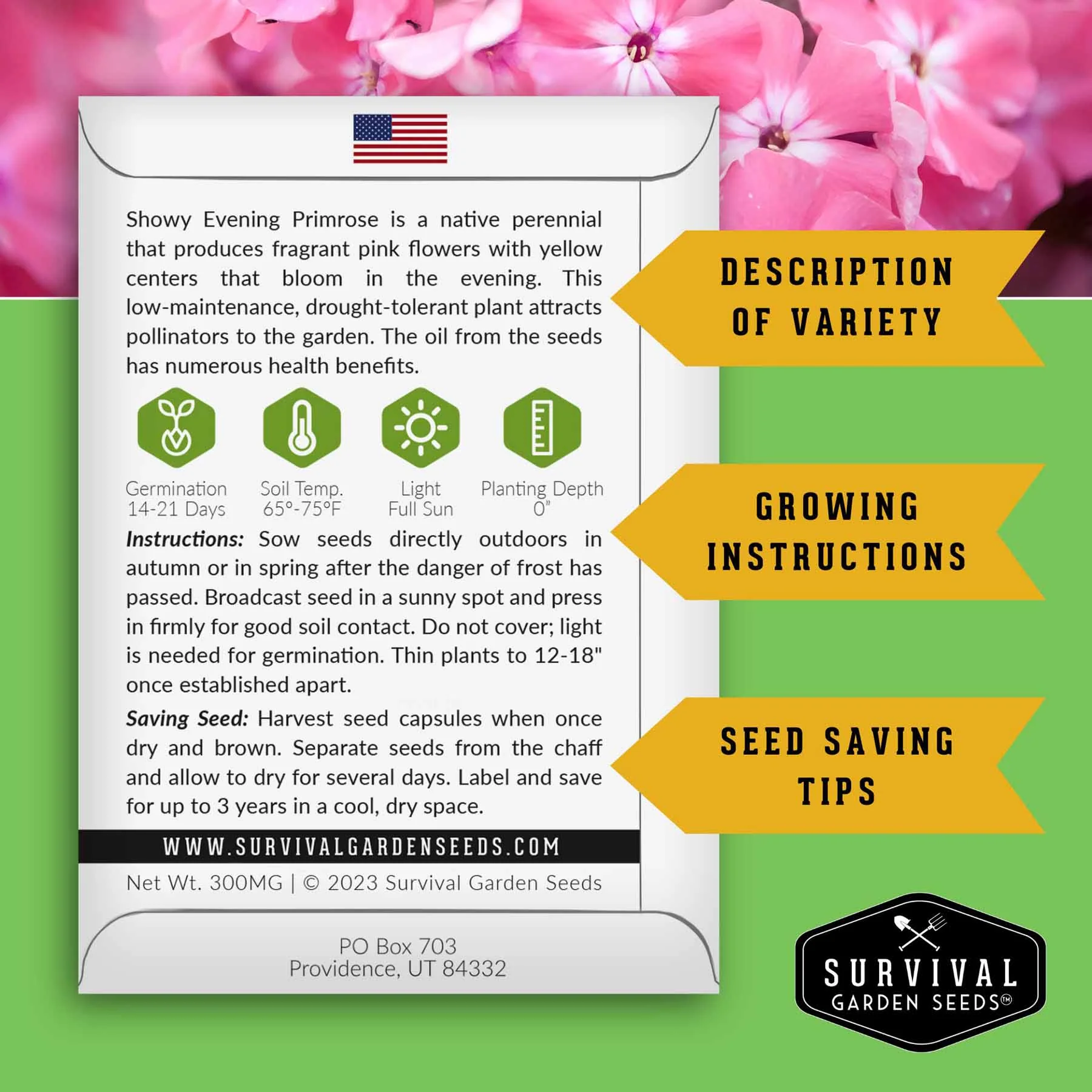 Functional Flower Garden Kit - 36 Seeds for Beauty, Bees & Wellness - Image 3