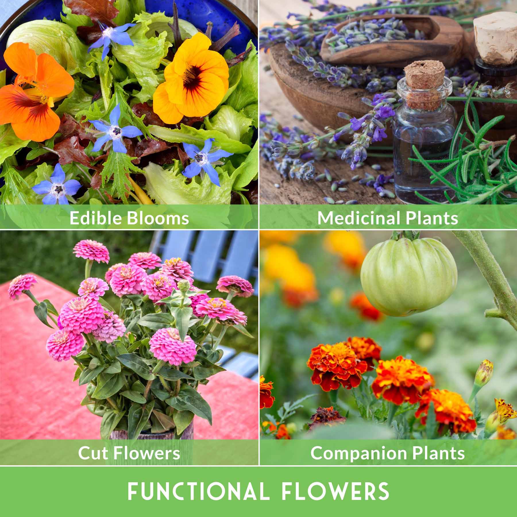 Functional Flower Garden Kit - 36 Seeds for Beauty, Bees & Wellness - Image 4