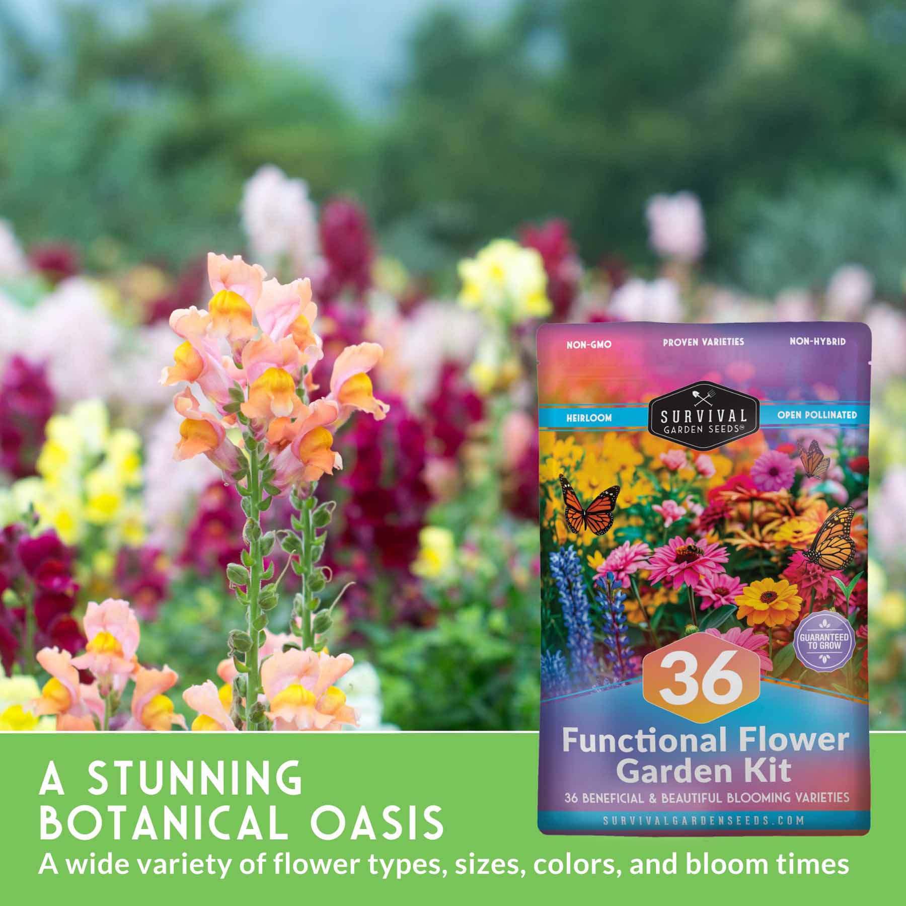 Functional Flower Garden Kit - 36 Seeds for Beauty, Bees & Wellness - Image 7