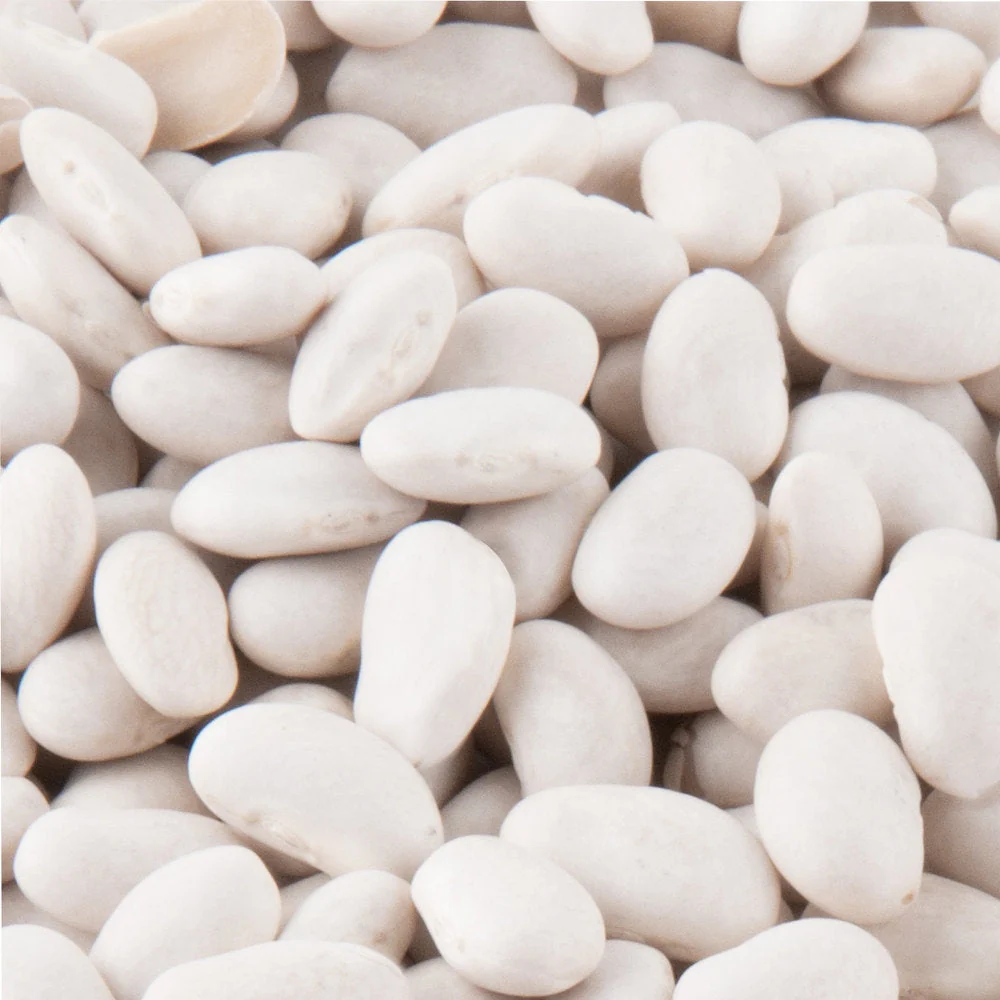 Future Essentials Great Northern Beans - Image 4