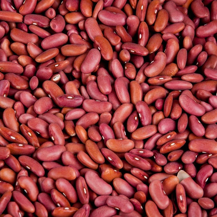 Future Essentials Light Red Kidney Beans - Image 4