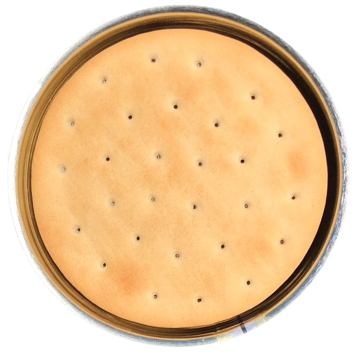 Future Essentials Sailor Pilot Bread Crackers - Image 2