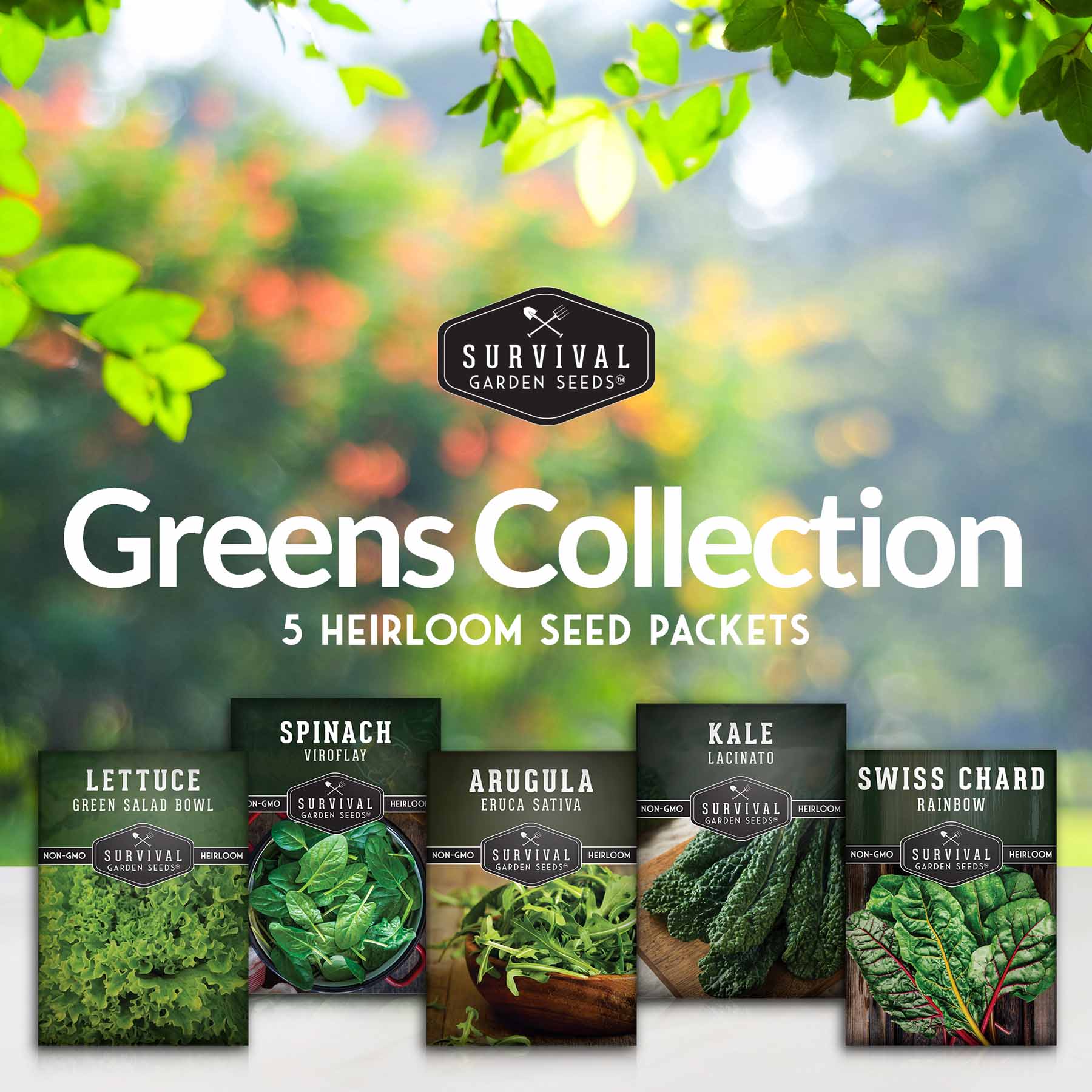 Greens Seeds Collection – 5 Heirloom Leafy Superfoods for Year-Round Growing Indoors or Outdoors - Image 2
