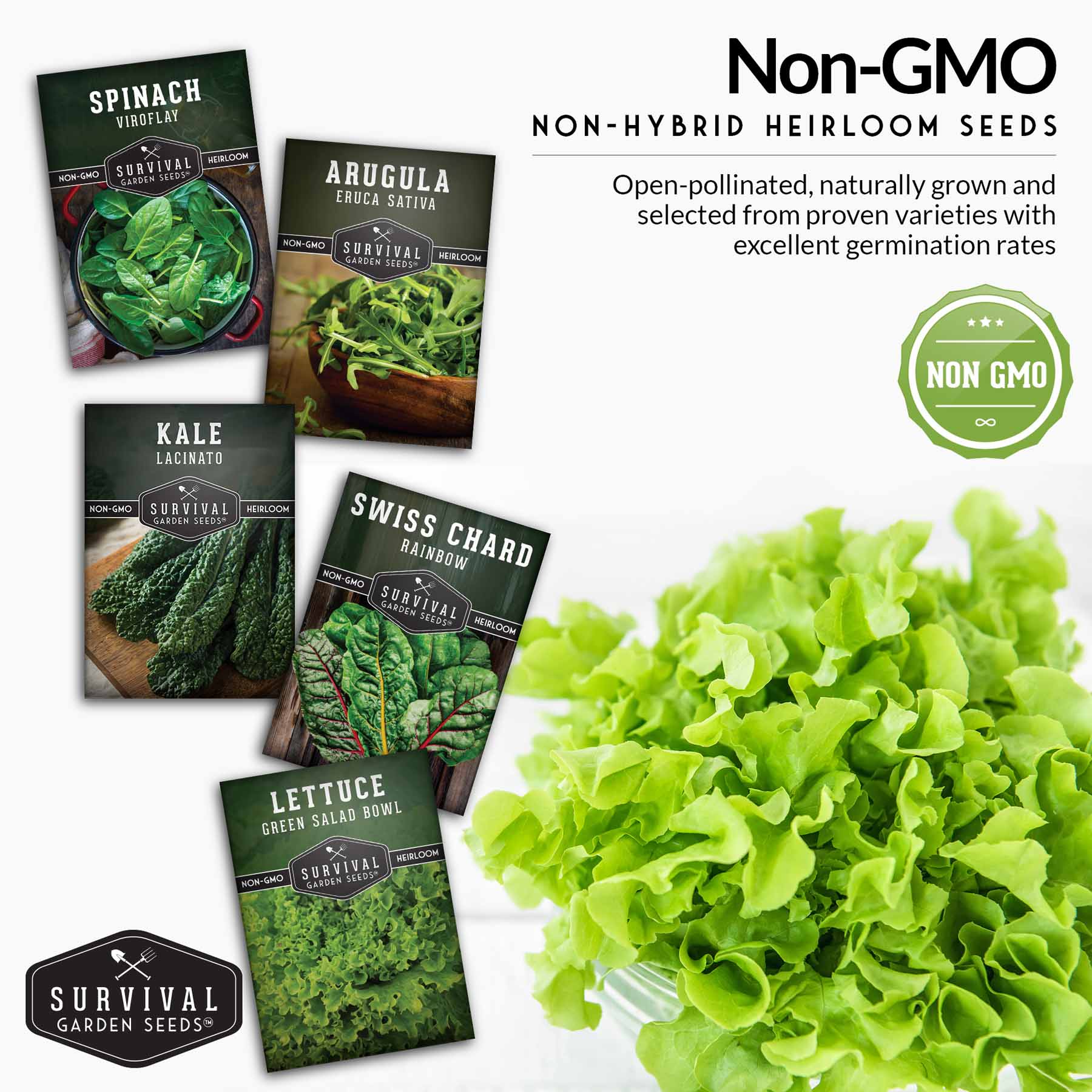 Greens Seeds Collection – 5 Heirloom Leafy Superfoods for Year-Round Growing Indoors or Outdoors - Image 4