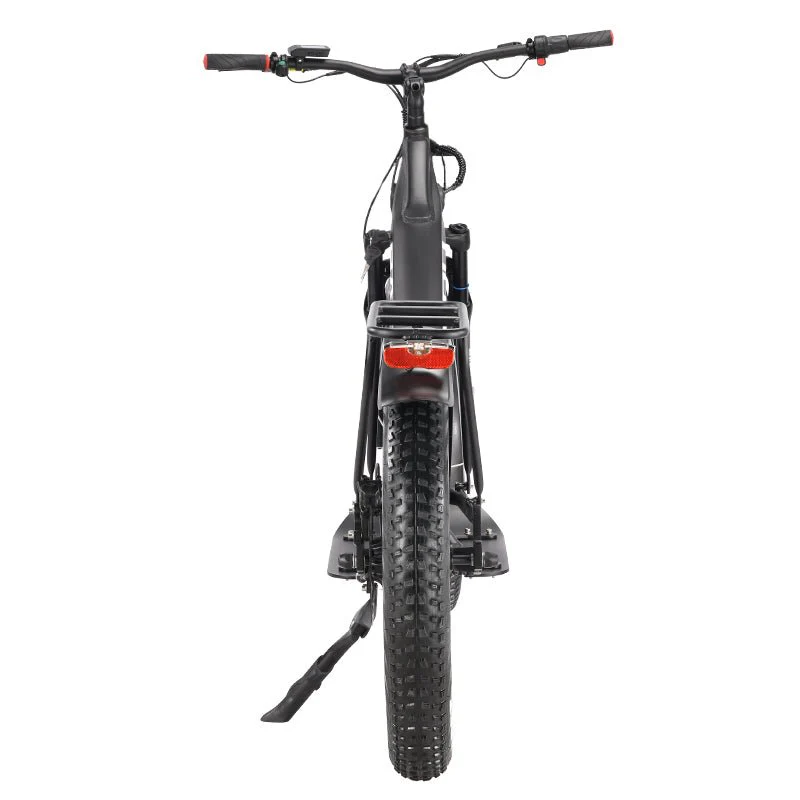 Grizzly Electric Scooter - Image 18