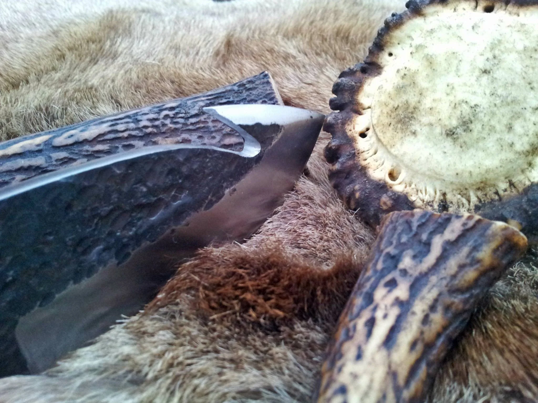 Hand Forge High Carbon Steel Gut Hook Knife - Image 4
