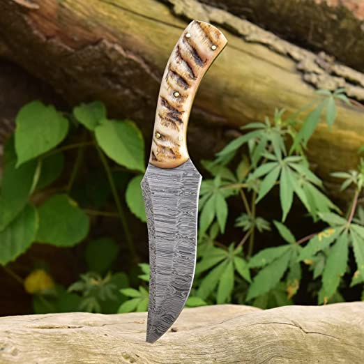 Handcrafted Damascus Hunting Knife: Sheep Horn Handle, 8.5-inch Overall Length, Leather Sheath - KBS Knives Store - Image 2