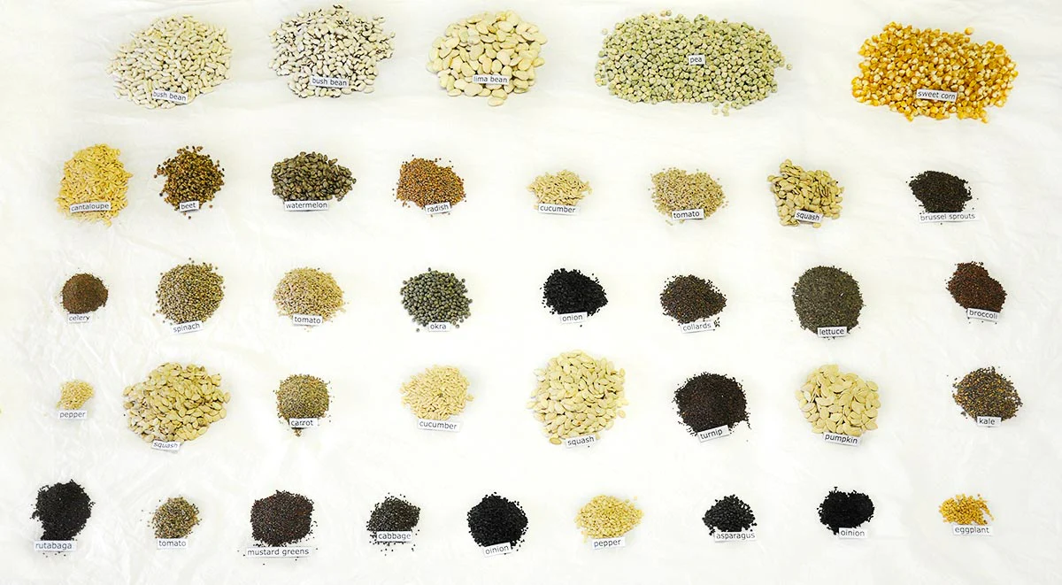 Heirloom Max Seed Kit - 39 Varieties | Premium Survival Seeds - Image 3