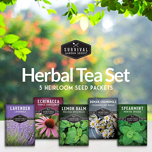 Herbal Tea Garden Seeds Kit – 5 Heirloom Medicinal Herbs for Soothing Teas, Remedies & Pollinator-Friendly Gardens - Image 2
