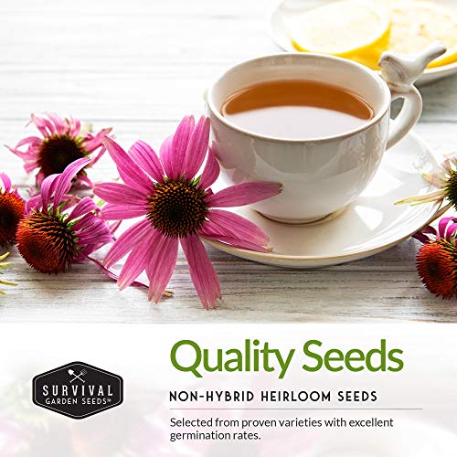 Herbal Tea Garden Seeds Kit – 5 Heirloom Medicinal Herbs for Soothing Teas, Remedies & Pollinator-Friendly Gardens - Image 3