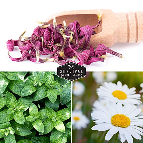Herbal Tea Garden Seeds Kit – 5 Heirloom Medicinal Herbs for Soothing Teas, Remedies & Pollinator-Friendly Gardens - Image 4