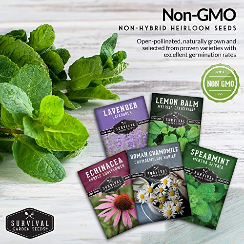 Herbal Tea Garden Seeds Kit – 5 Heirloom Medicinal Herbs for Soothing Teas, Remedies & Pollinator-Friendly Gardens - Image 5