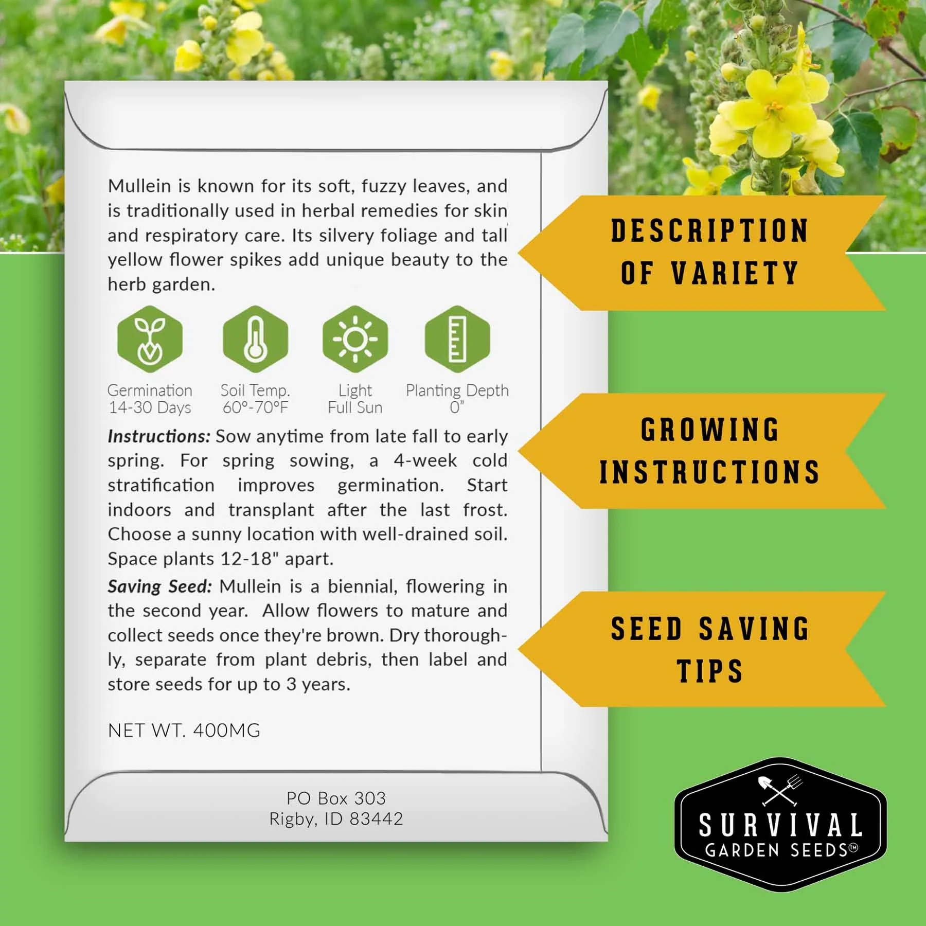 Herbalist Bundle – 7-Varieties of Heirloom Perennial & Biennial Healing Plants for Advanced Apothecary Gardens - Image 2