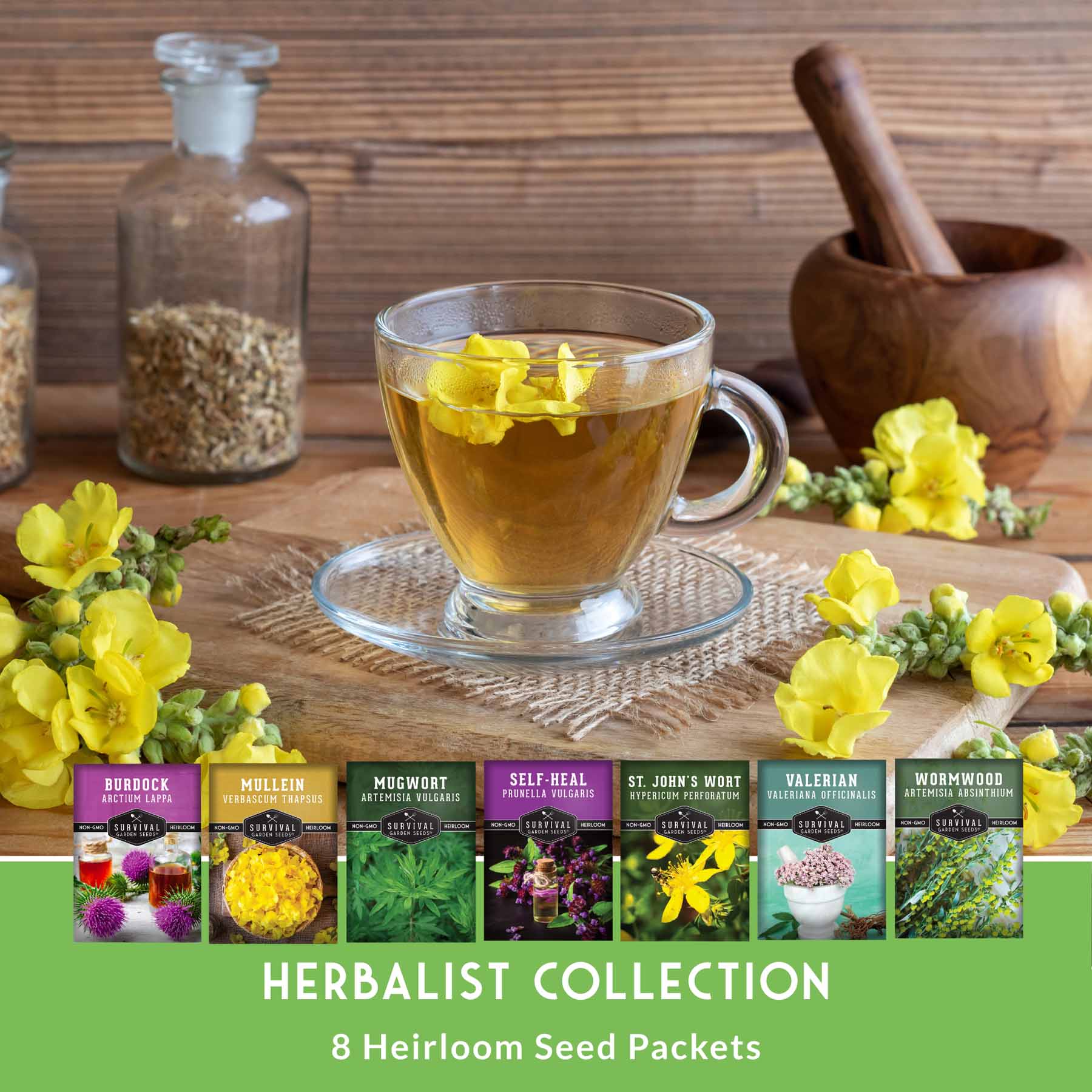 Herbalist Bundle – 7-Varieties of Heirloom Perennial & Biennial Healing Plants for Advanced Apothecary Gardens - Image 3