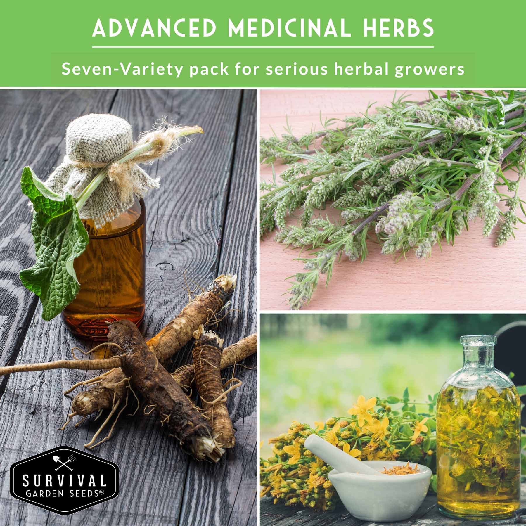 Herbalist Bundle – 7-Varieties of Heirloom Perennial & Biennial Healing Plants for Advanced Apothecary Gardens - Image 4