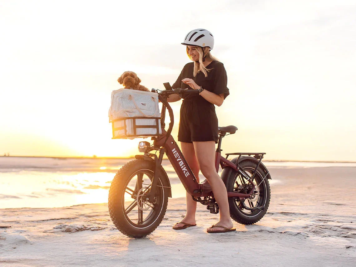 Heybike Ranger S - Image 7