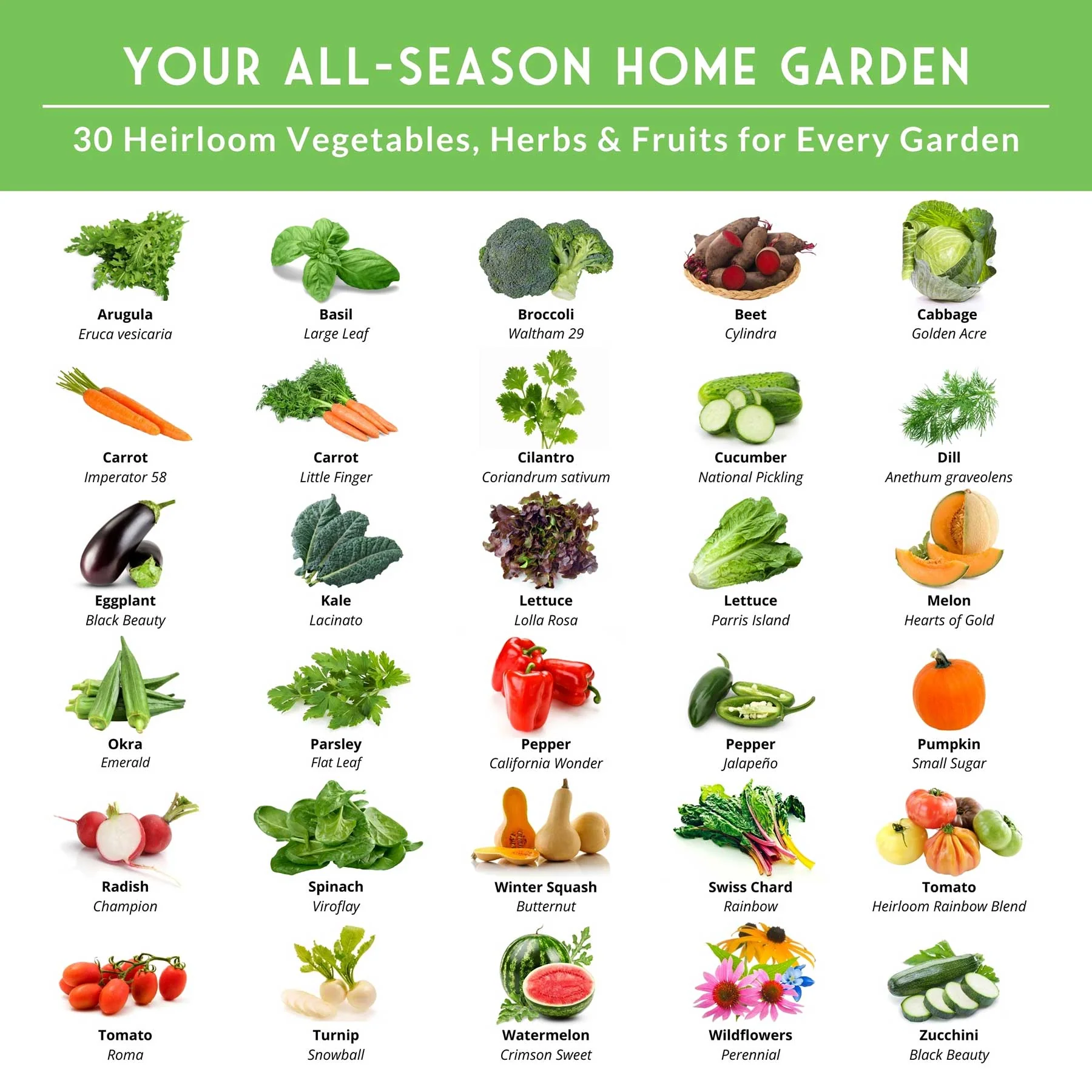 Family Home Garden Kit - 30 Easy to Grow Seeds for a Victory Garden - Image 3