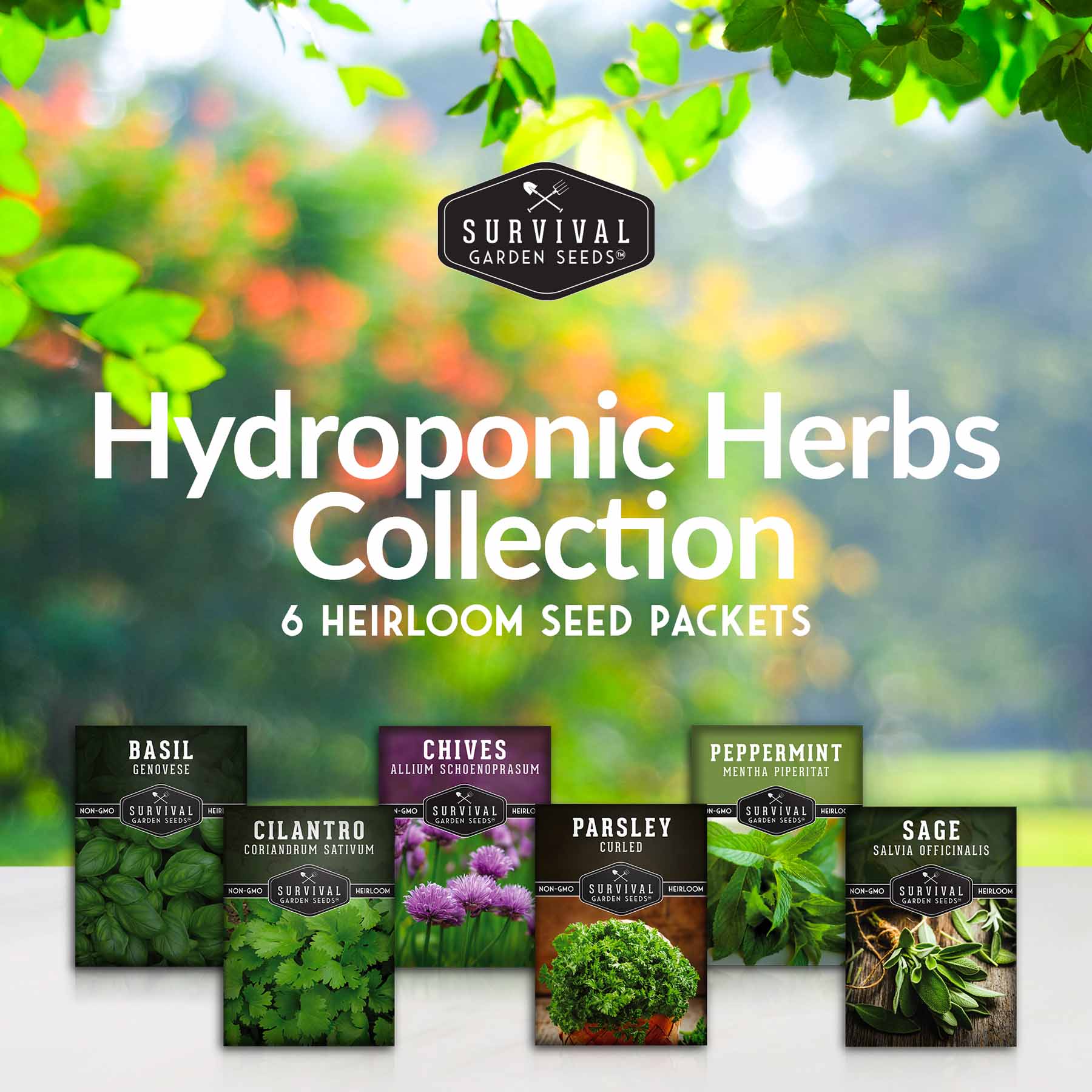 Indoor Herb Garden Hydroponic Seeds Collection – 6 Heirloom Non-GMO Culinary Herbs (Peppermint, Parsley, Cilantro, Basil, Chives & Sage) for Countertop, Tower & Year-Round Growing - Image 2