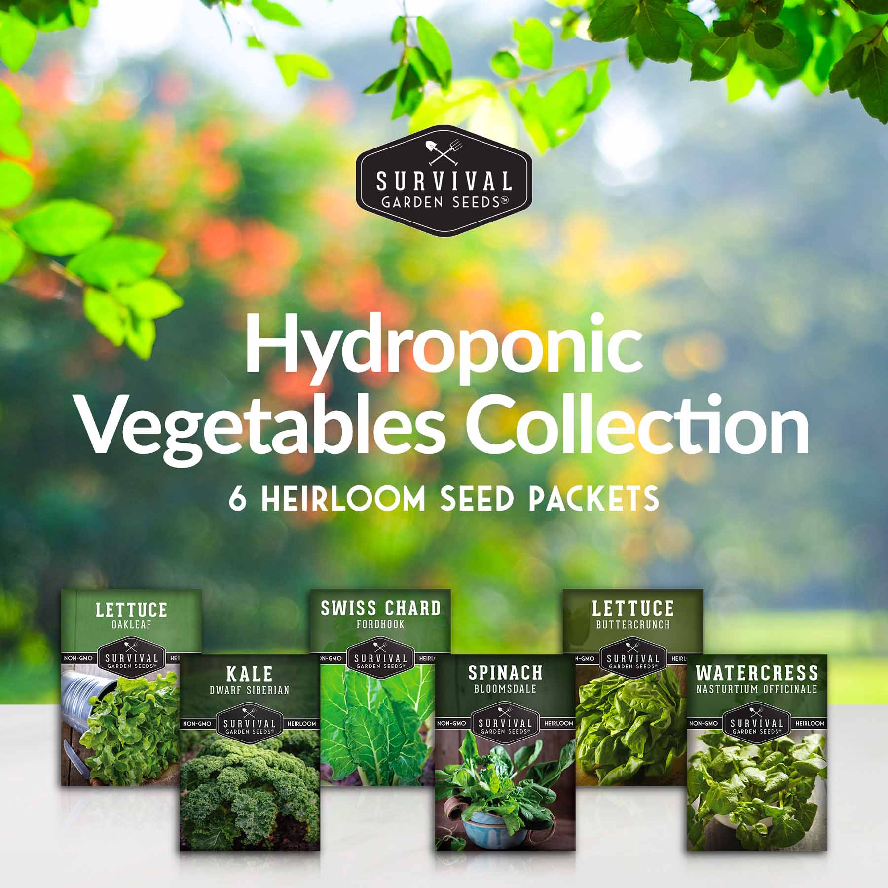 Hydroponic Vegetable Seeds Kit – 6 Heirloom Leafy Greens for Aerogardens, Towers & Indoor Year-Round Growing - Image 2