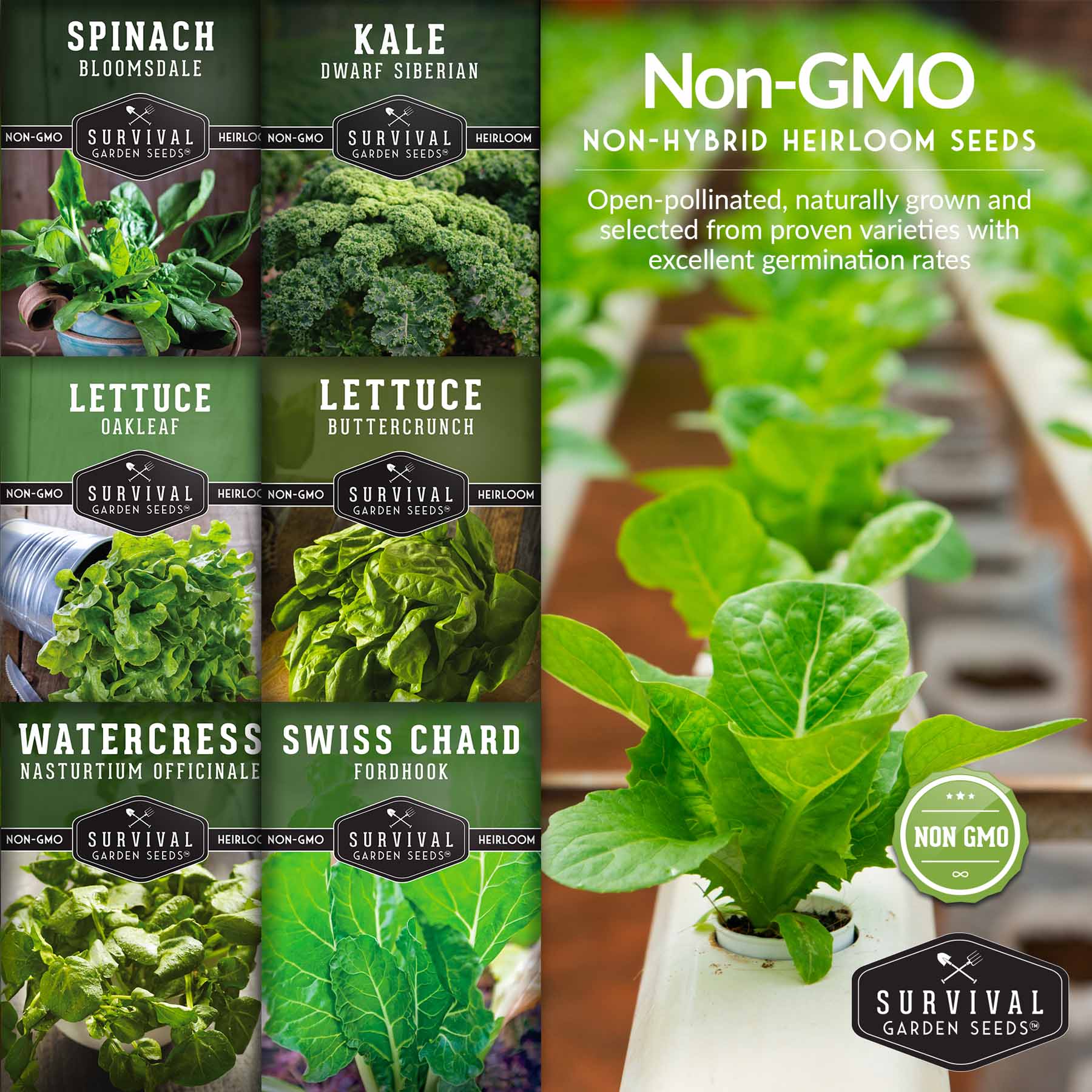 Hydroponic Vegetable Seeds Kit – 6 Heirloom Leafy Greens for Aerogardens, Towers & Indoor Year-Round Growing - Image 5