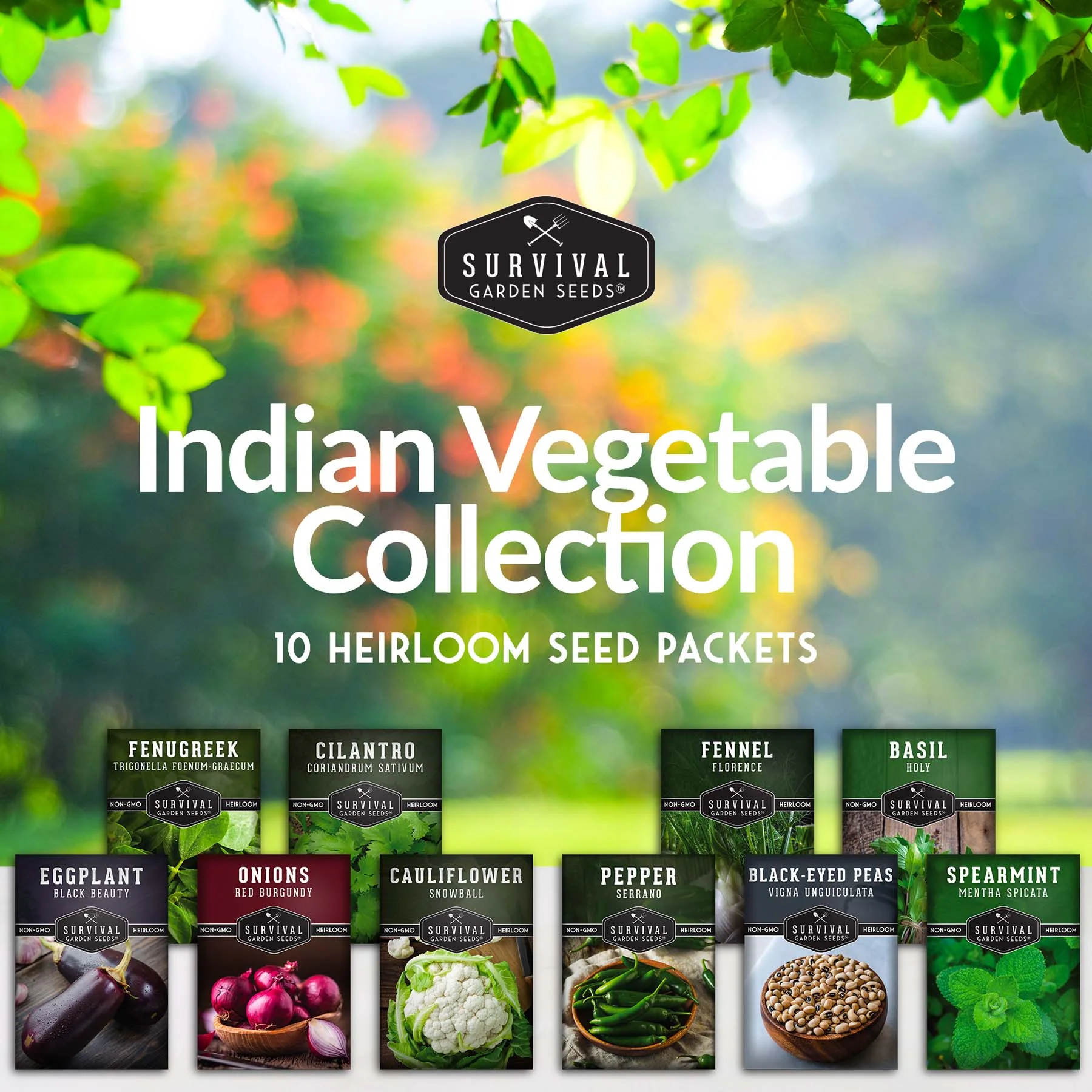 Indian Vegetable Seed Collection – 10 Heirloom Non-GMO Seeds for Authentic Indian Cuisine and Home Gardens - Image 2