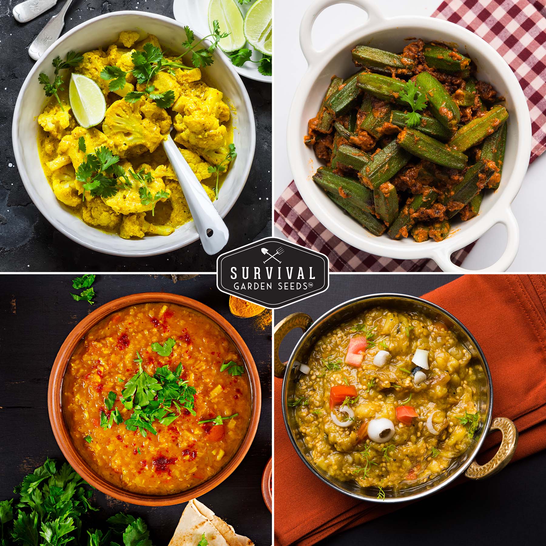 Indian Vegetable Seed Collection – 10 Heirloom Non-GMO Seeds for Authentic Indian Cuisine and Home Gardens - Image 4