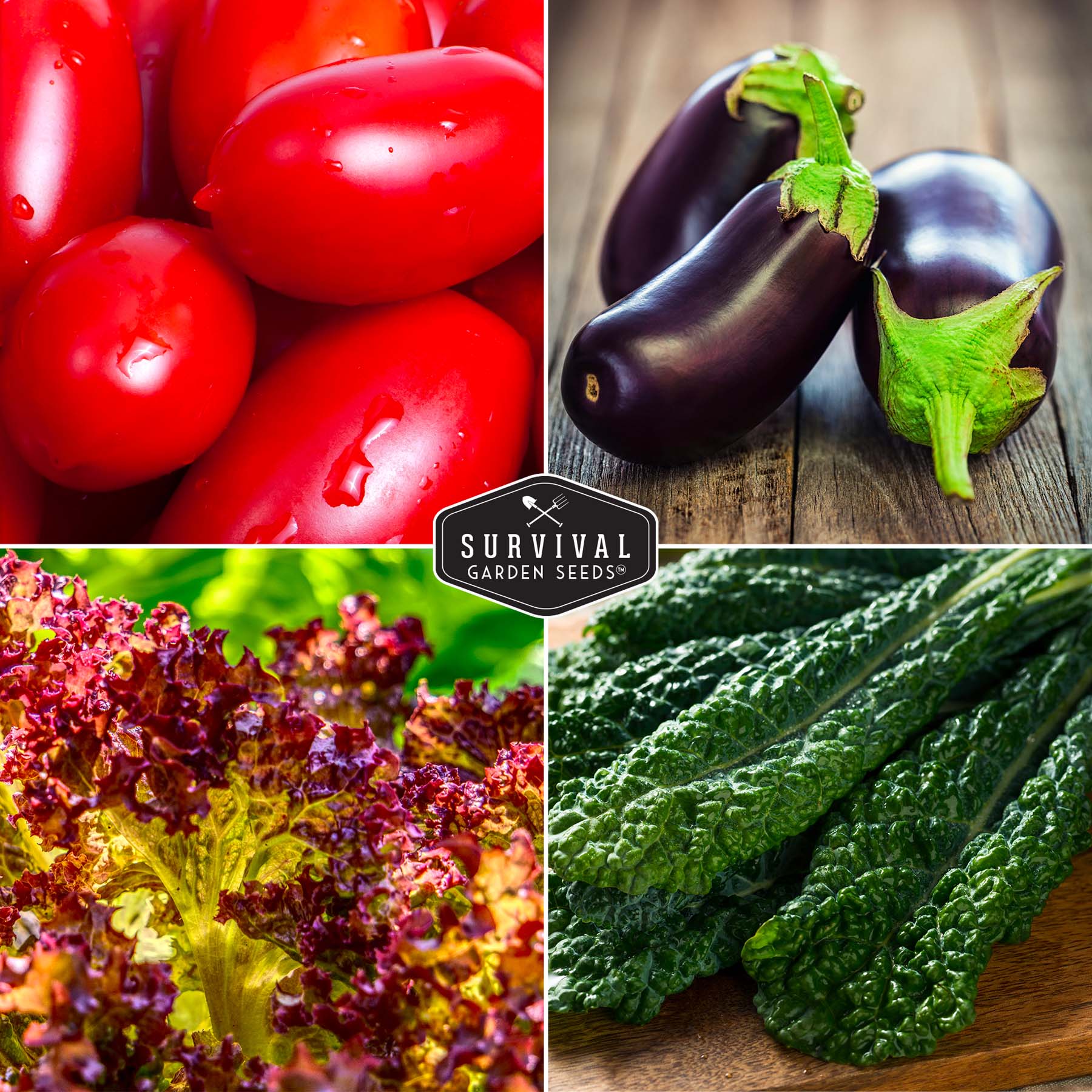 Italian Seed Collection – Classic Heirloom Vegetables for Authentic Flavor and Productive Home Gardens - Image 4